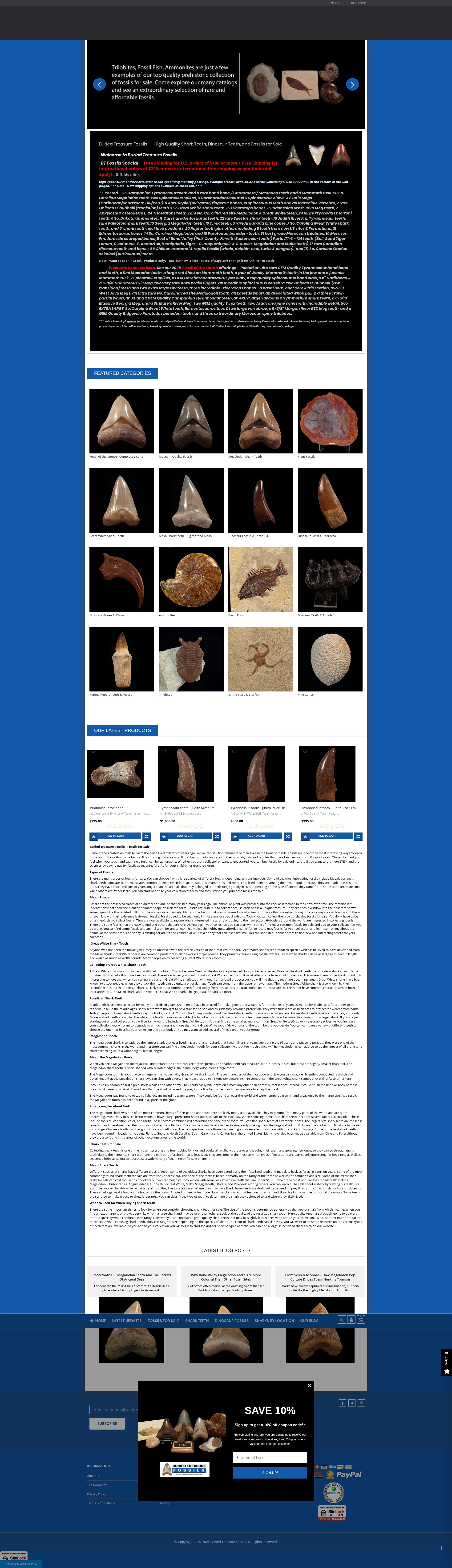 Screenshot of buriedtreasurefossils.com