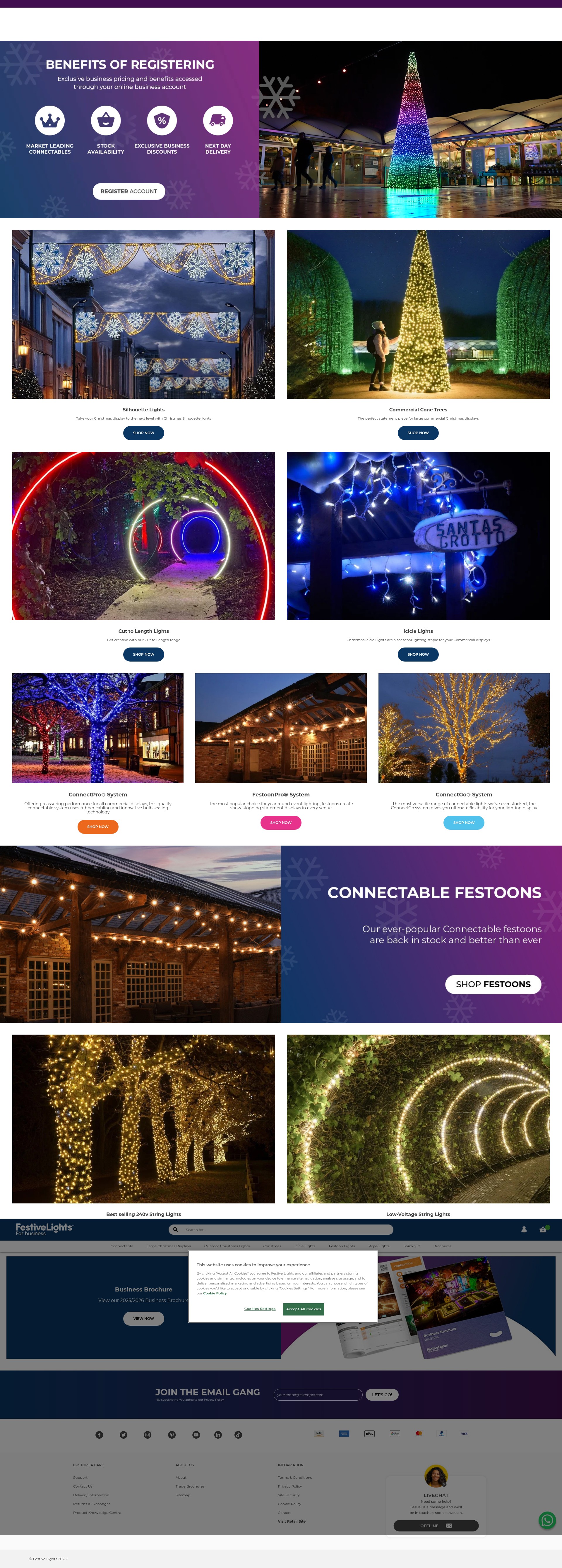 Screenshot of business.festive-lights.com
