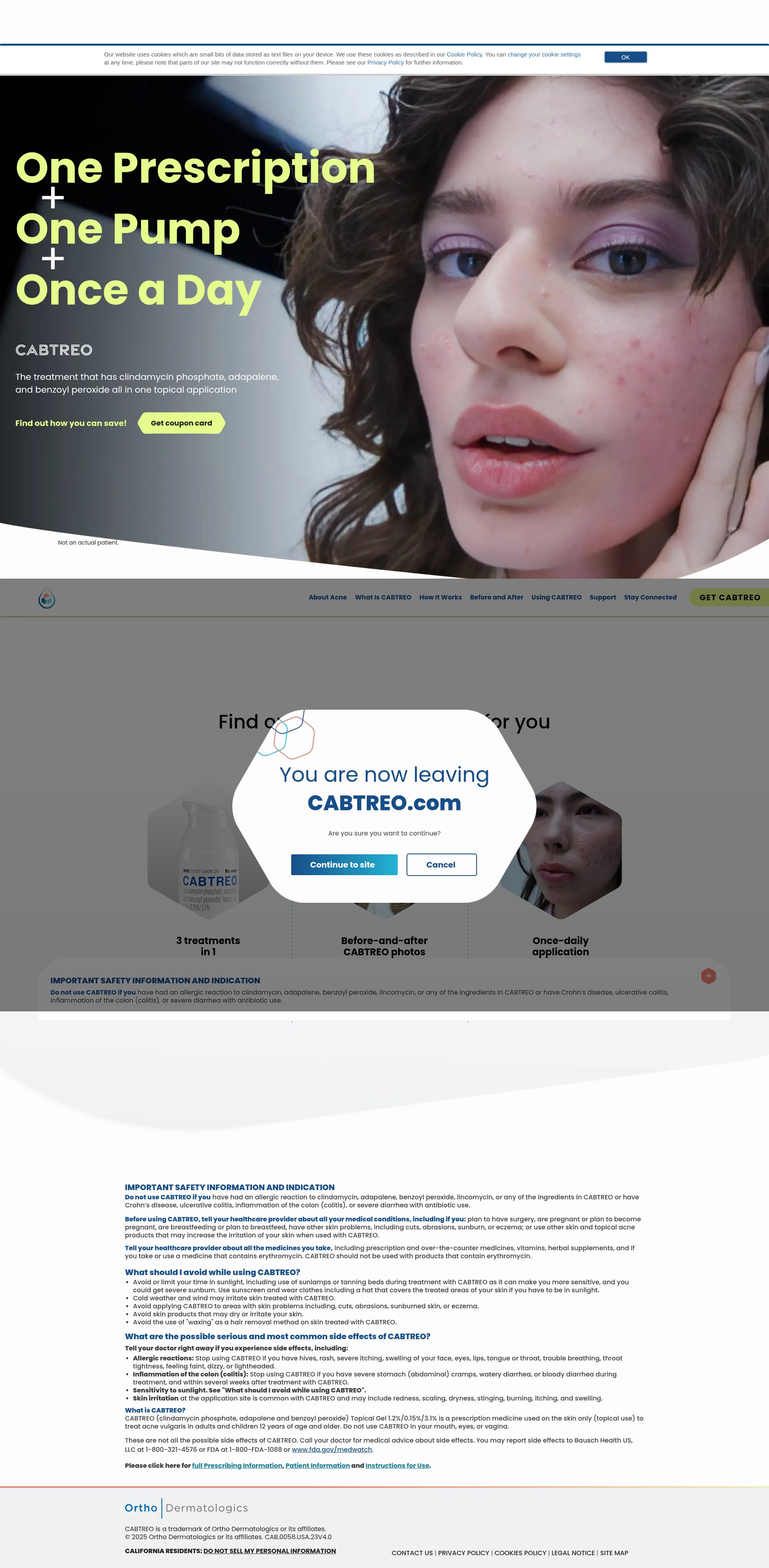 Screenshot of cabtreo.com