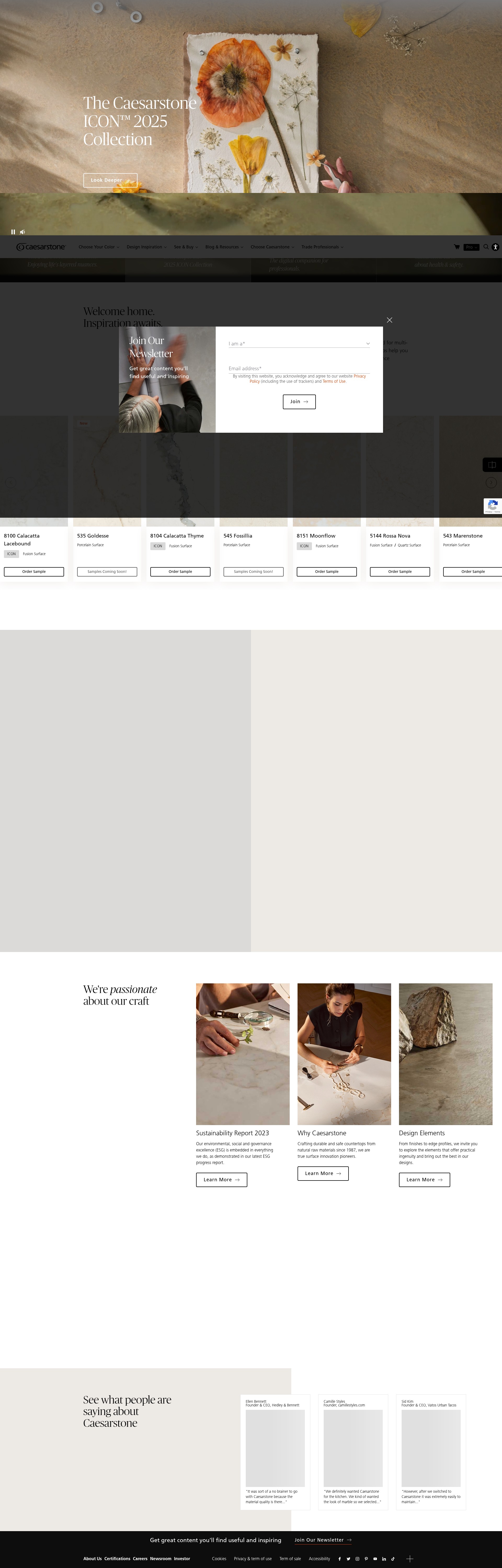 Screenshot of caesarstoneus.com