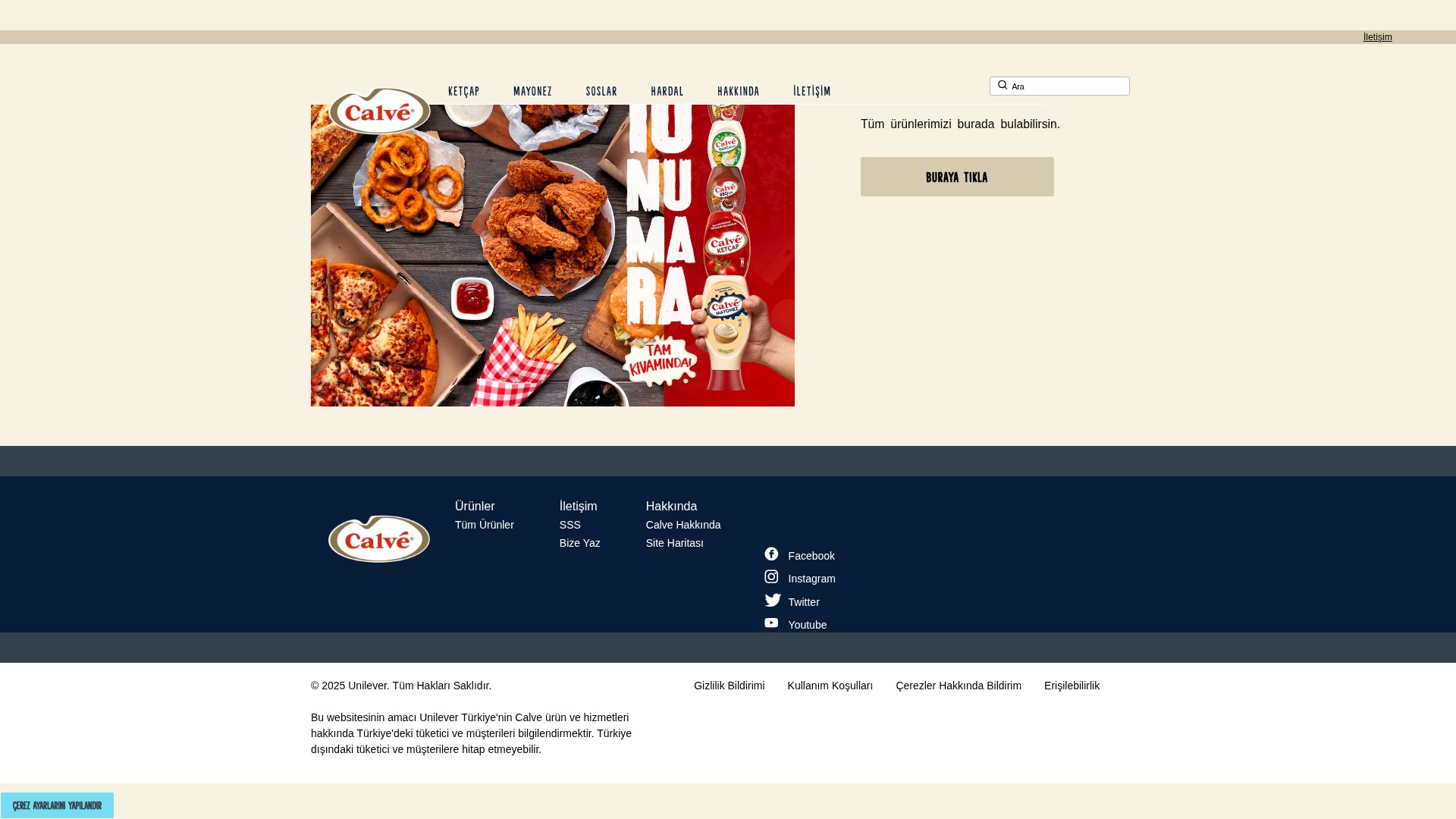 Screenshot of calve.com.tr