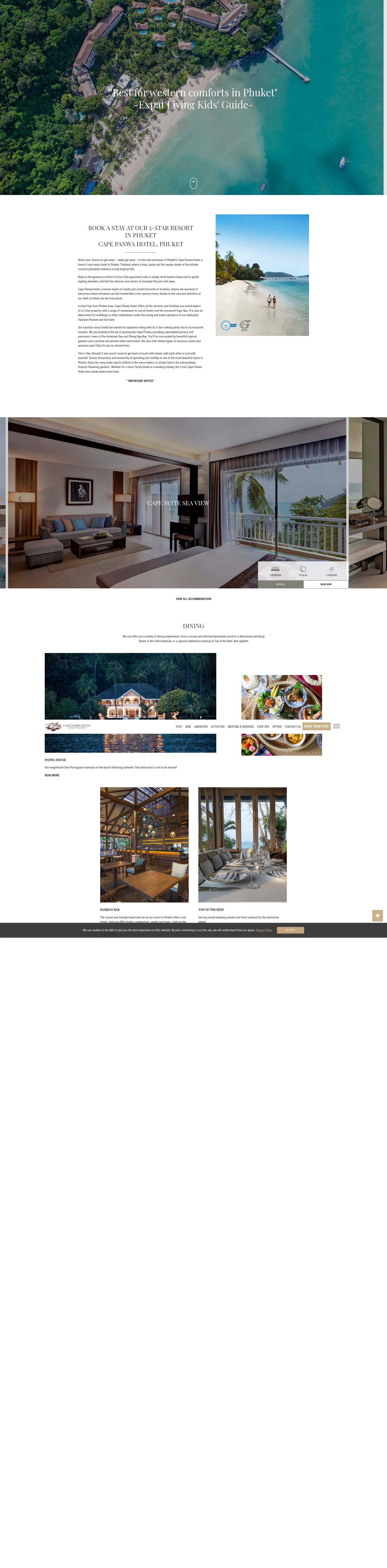 Screenshot of capepanwa.com