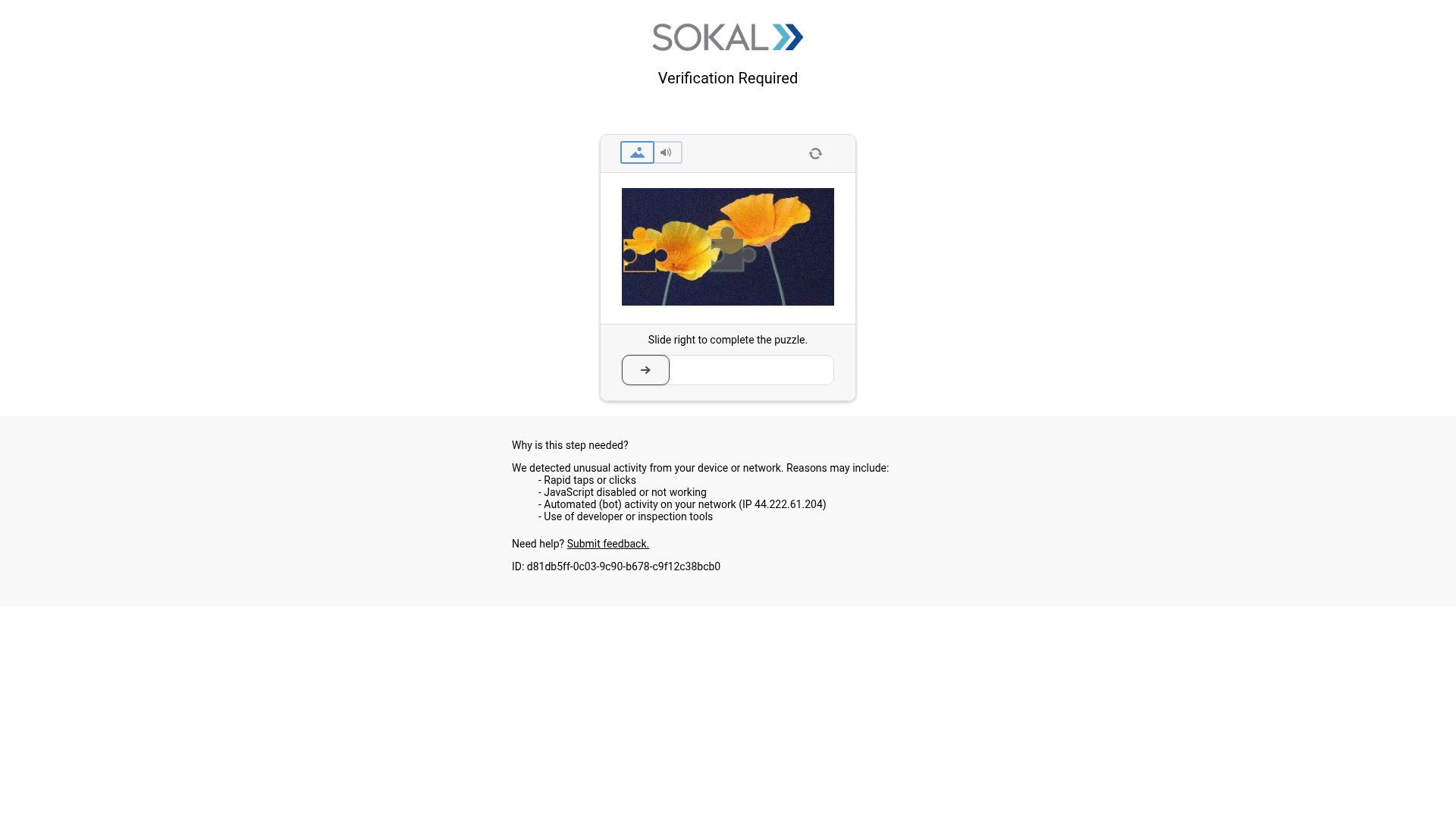 Screenshot of capitalfordrockymount.com