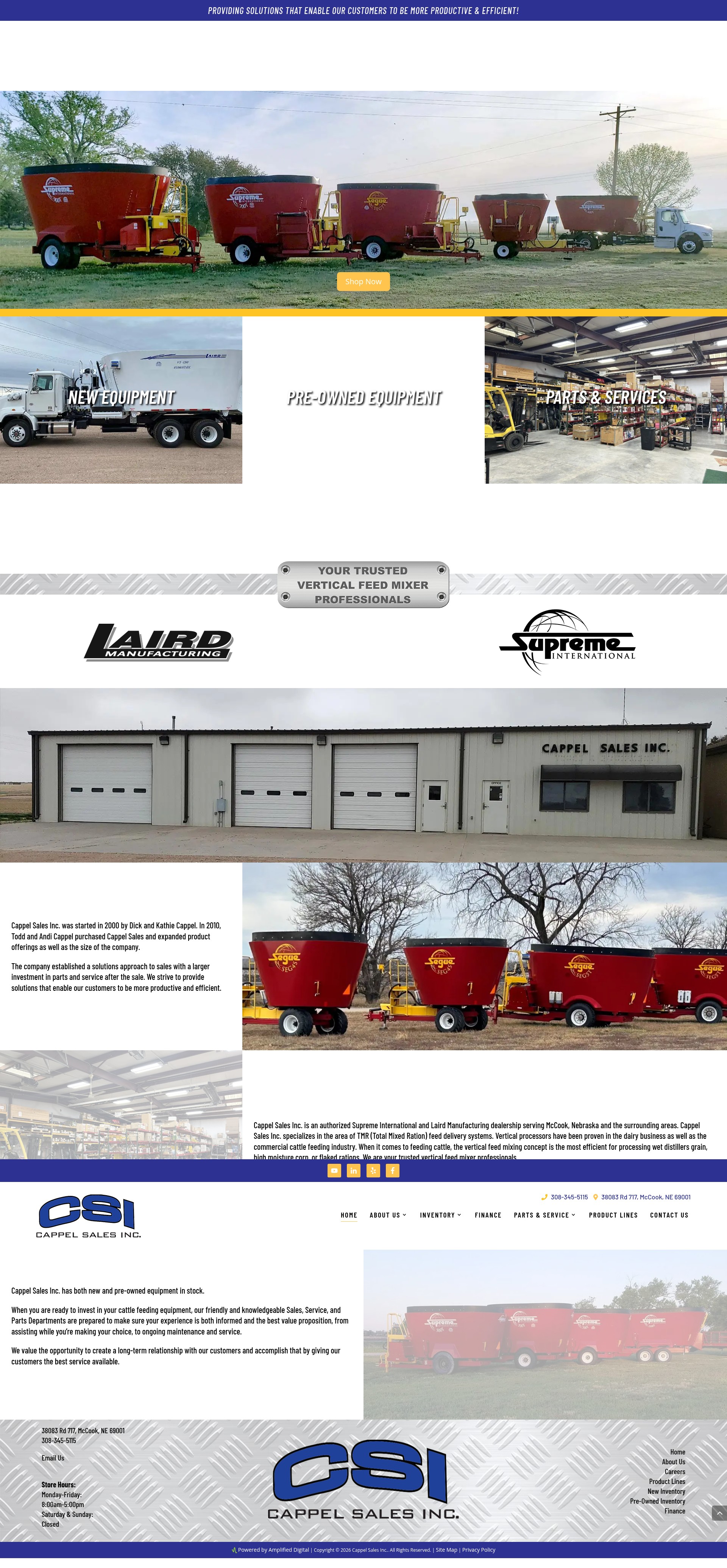 Screenshot of cappelsales.com