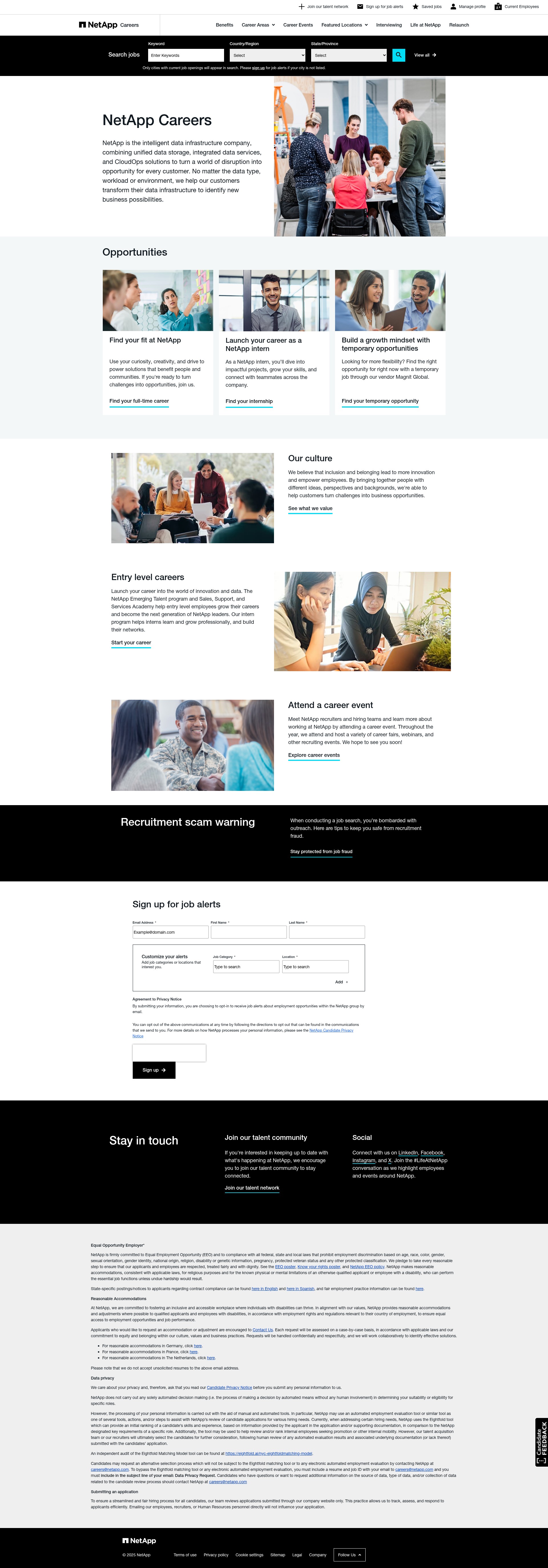 Screenshot of careers.netapp.com