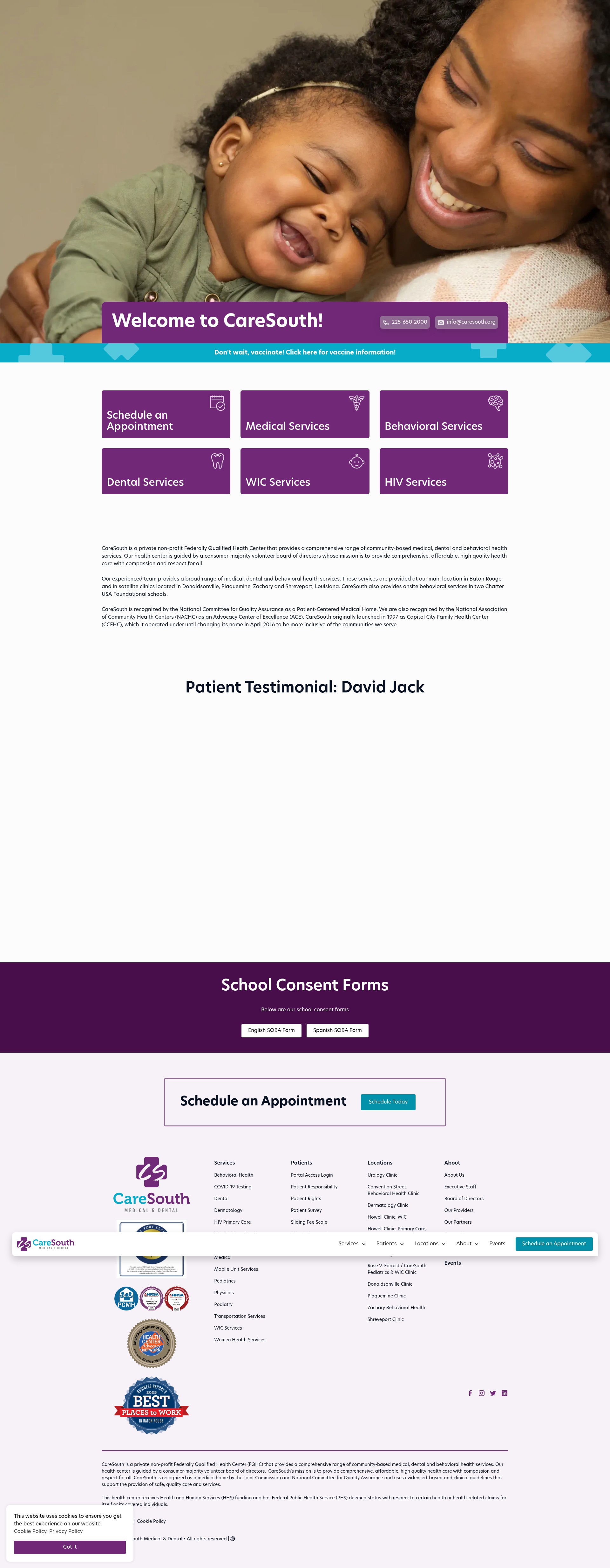 Screenshot of caresouth.org