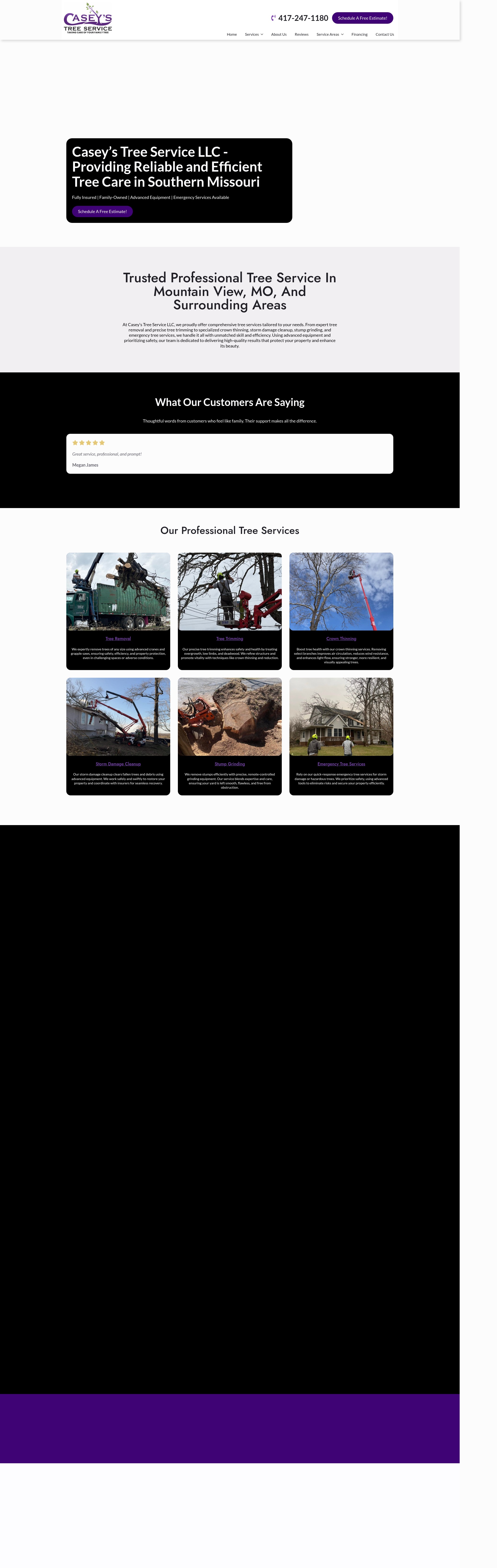 Screenshot of caseystreeservice.biz