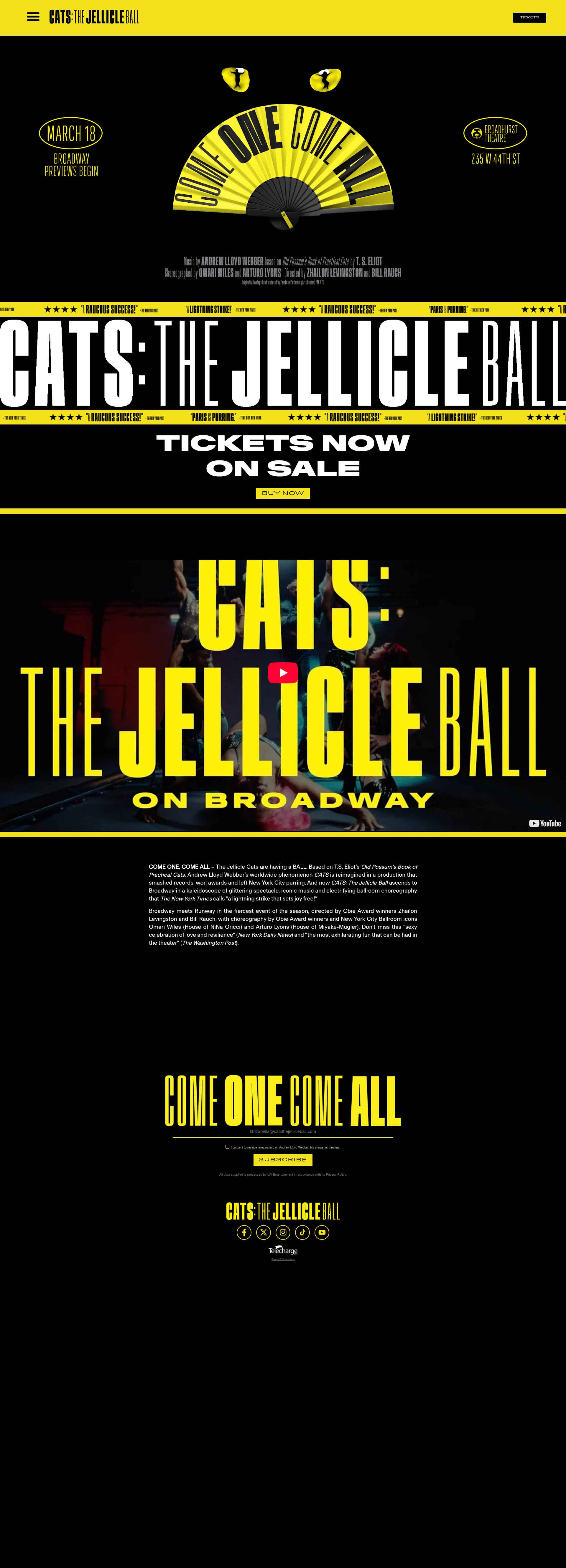Screenshot of catsthejellicleball.com