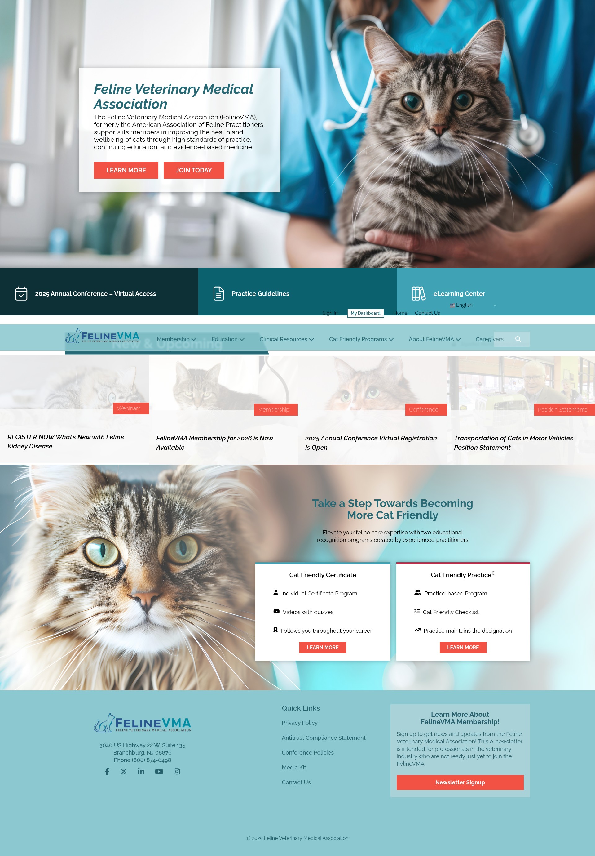 Screenshot of catvets.com