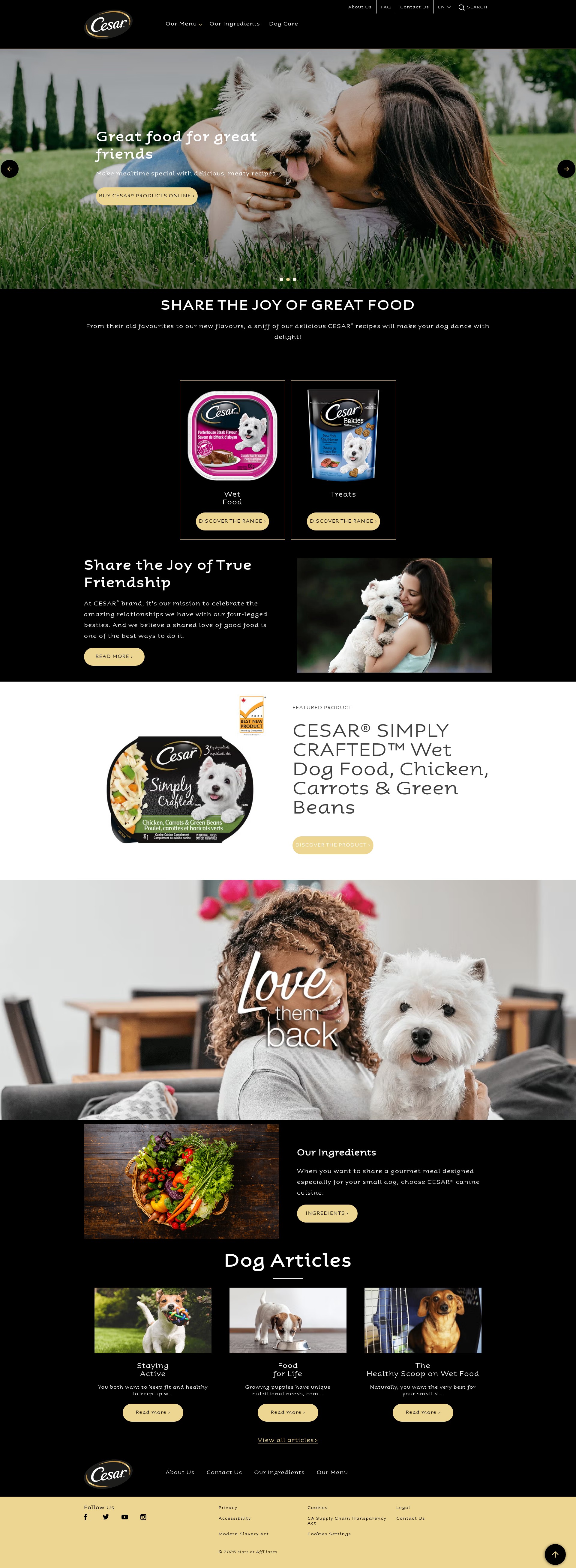 Screenshot of cesar.ca