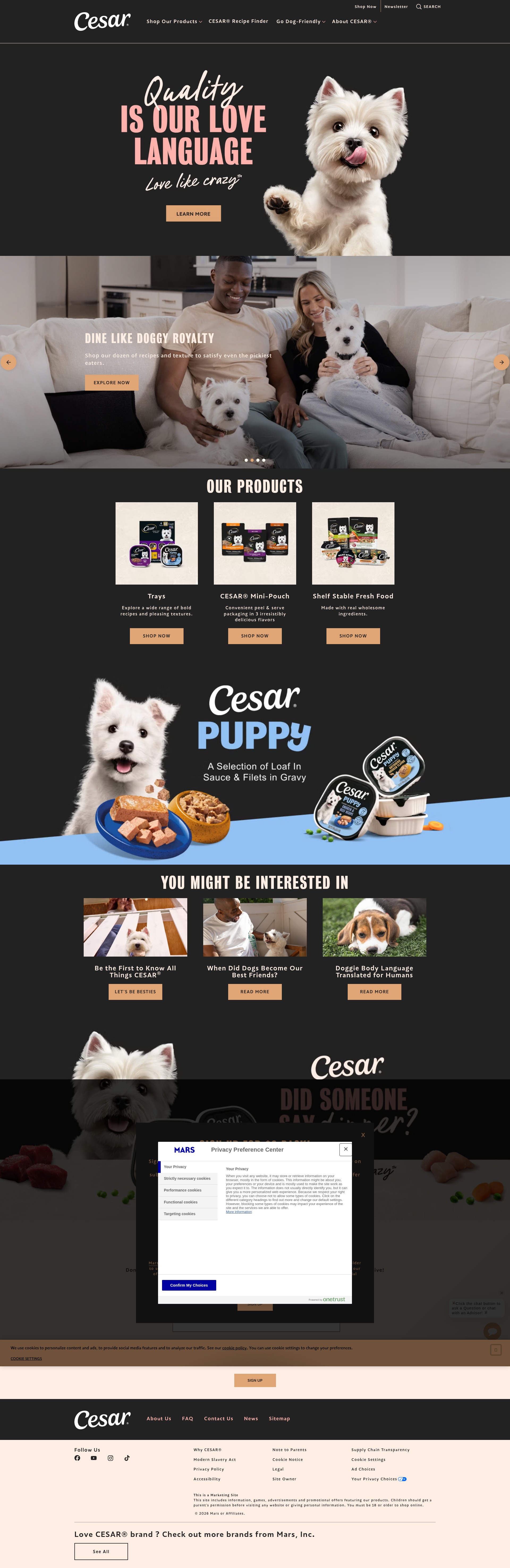 Screenshot of cesar.com
