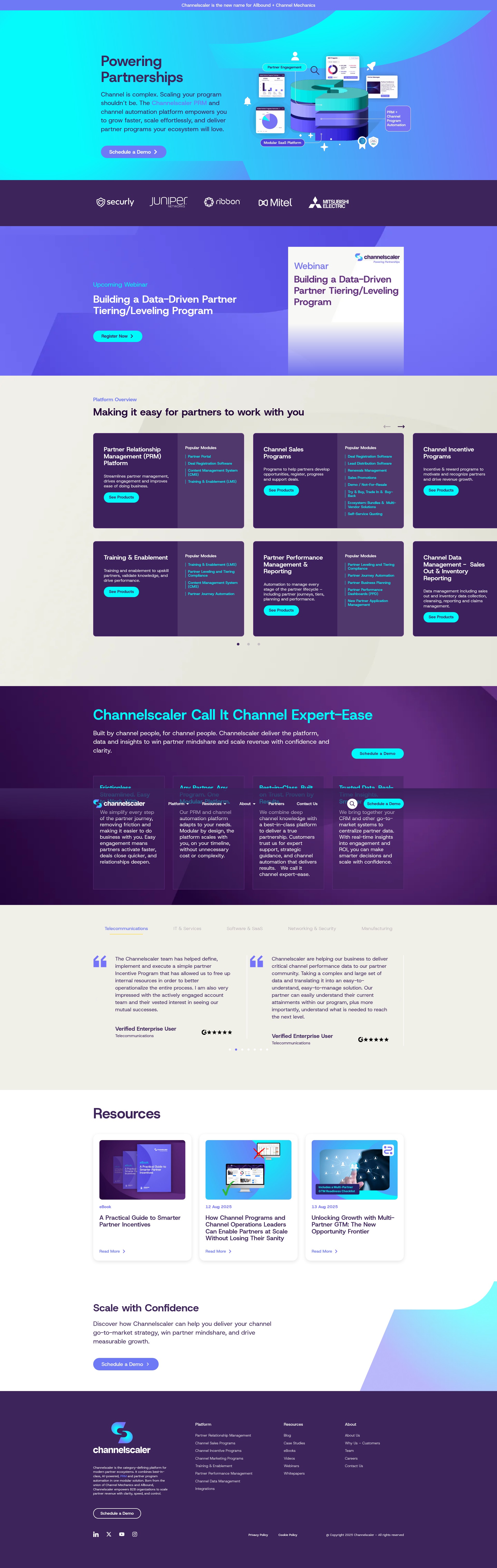 Screenshot of channelscaler.com