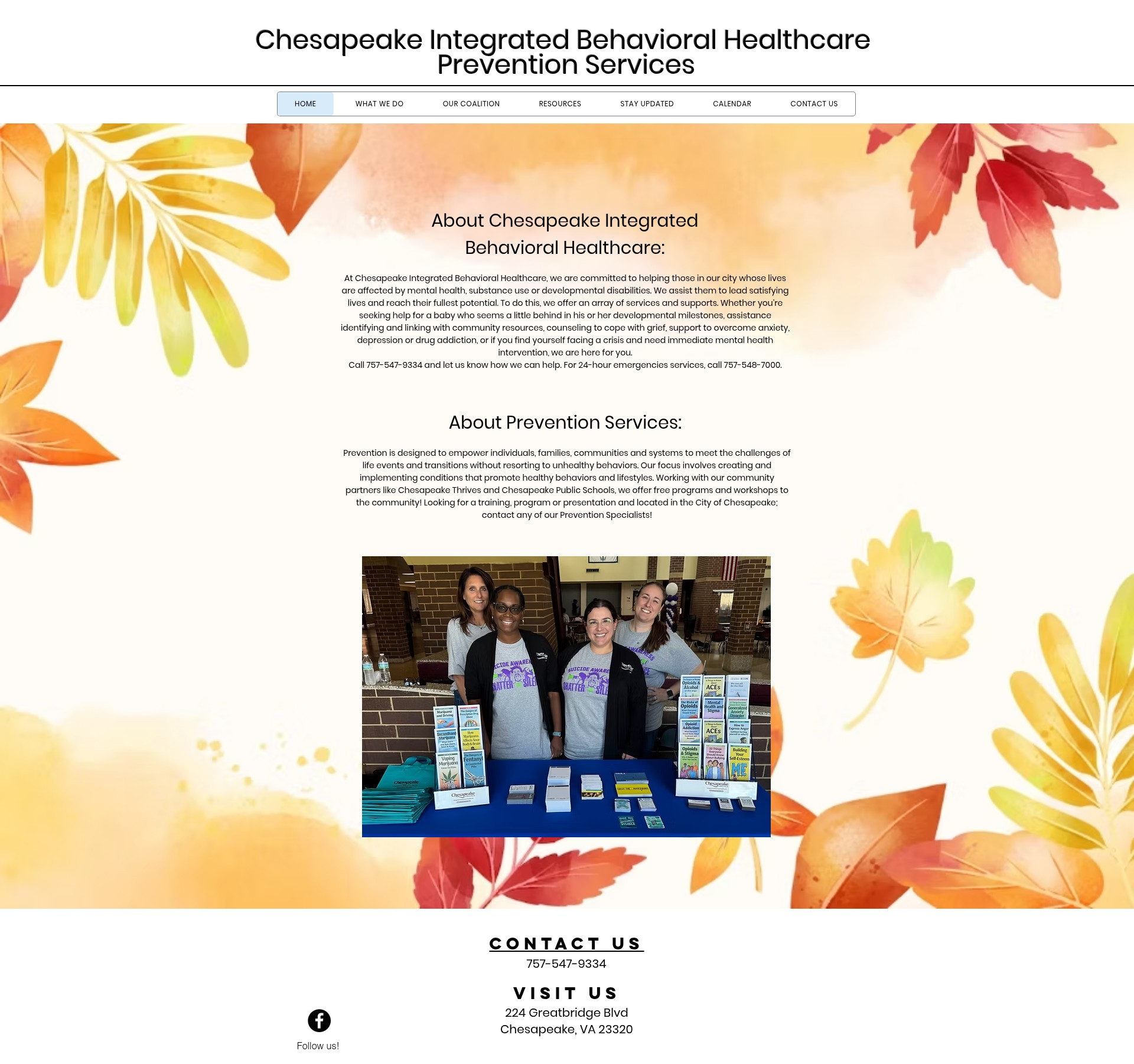 Screenshot of cibhprevention.com