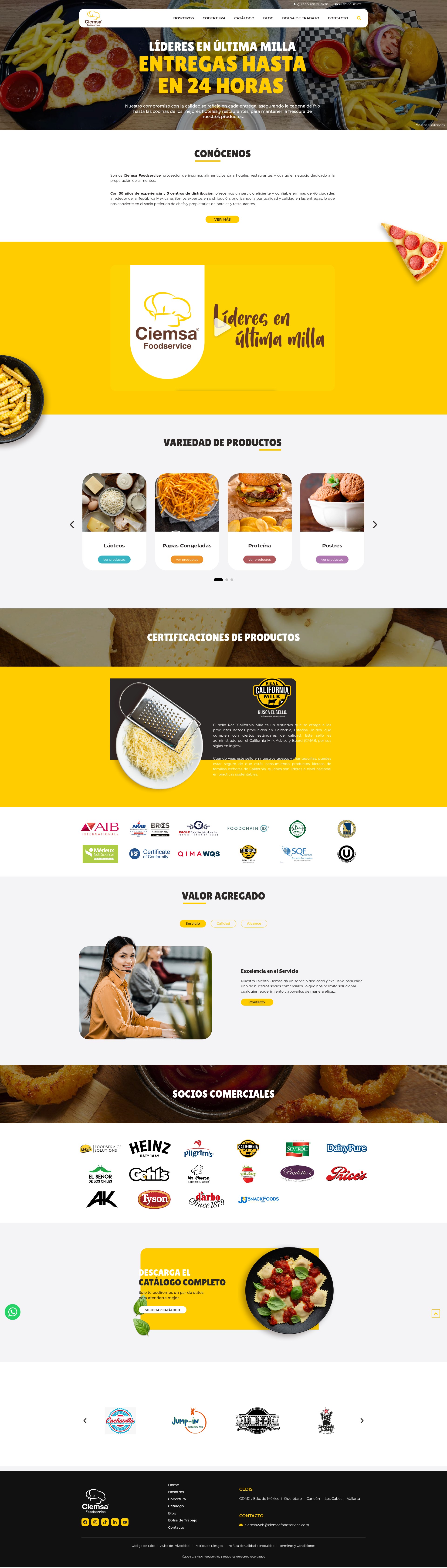 Screenshot of ciemsafoodservice.com
