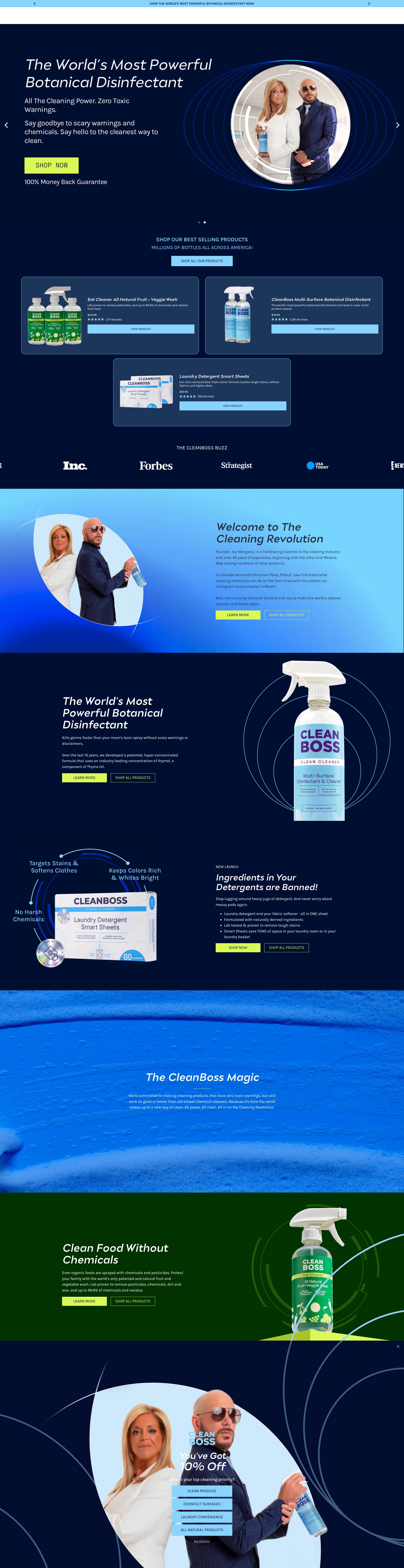 Screenshot of cleanboss.co