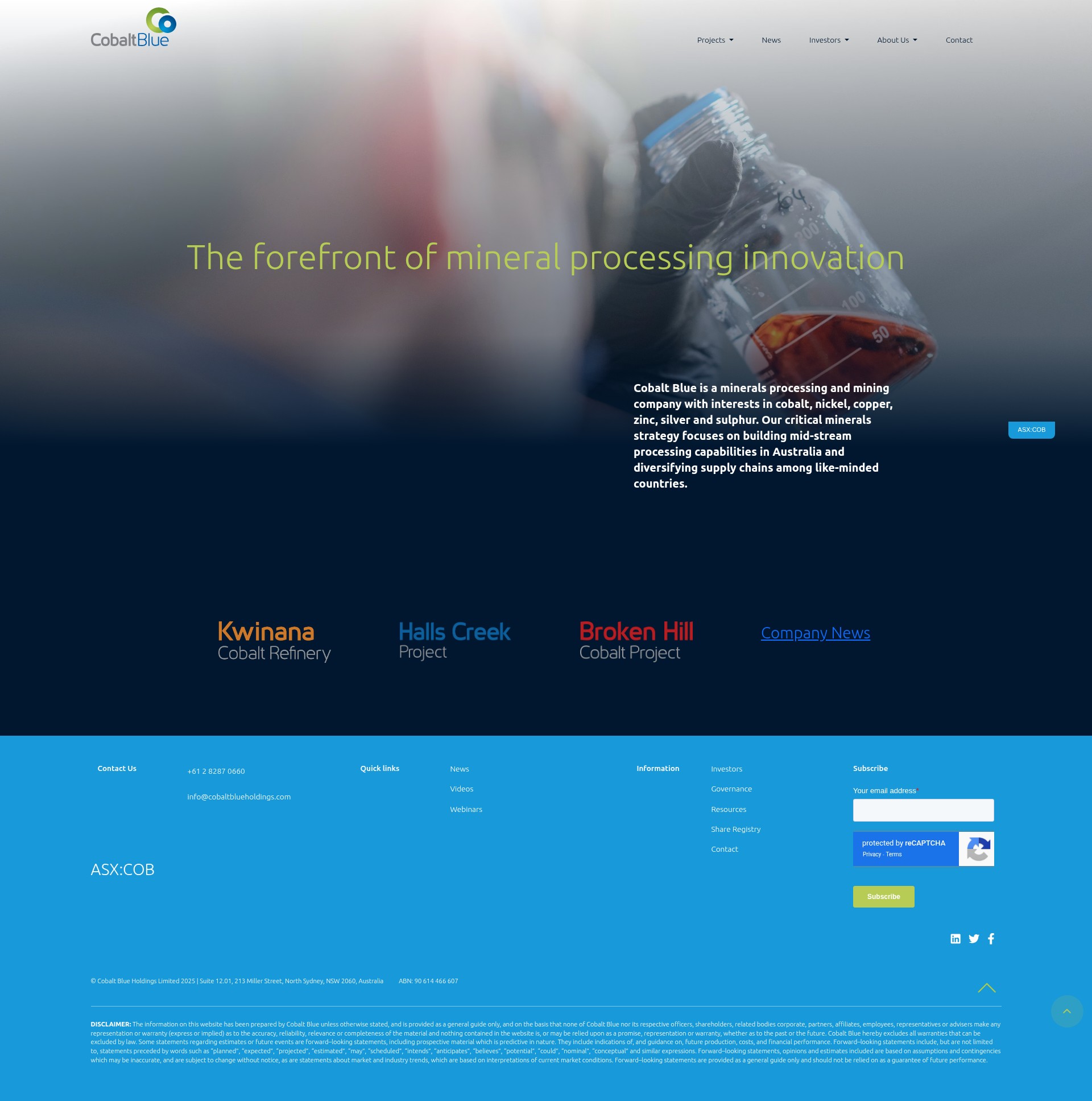 Screenshot of cobaltblueholdings.com