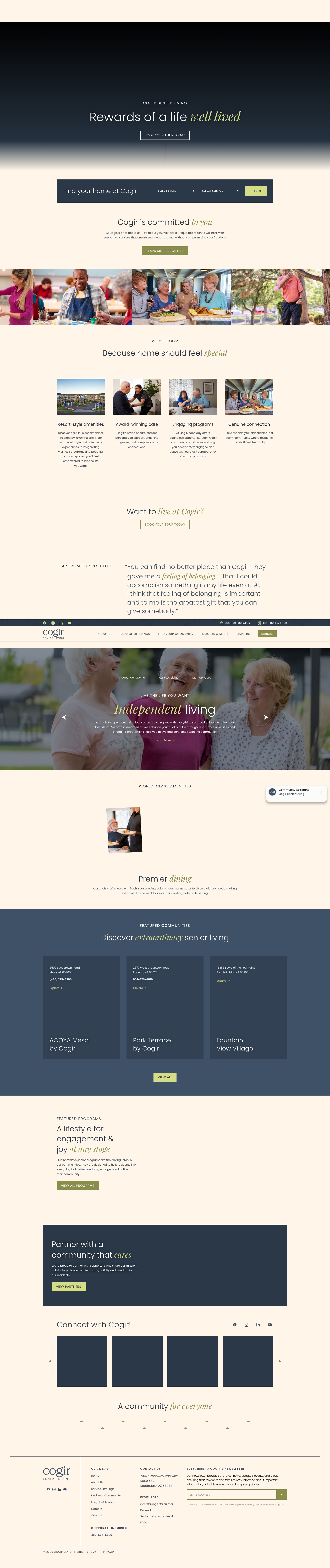 Screenshot of cogirusa.com