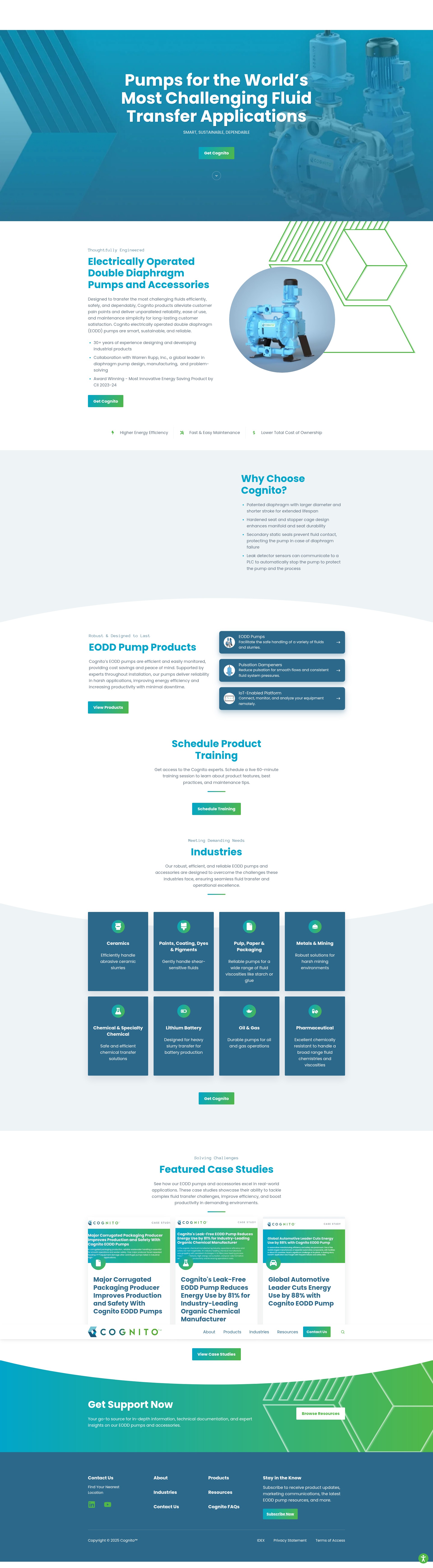 Screenshot of cognitopump.com
