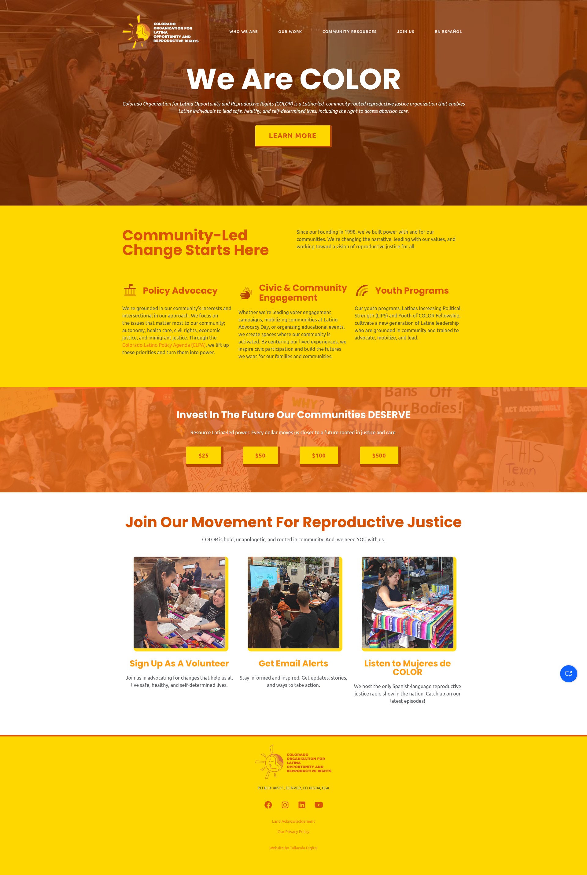 Screenshot of colorlatina.org