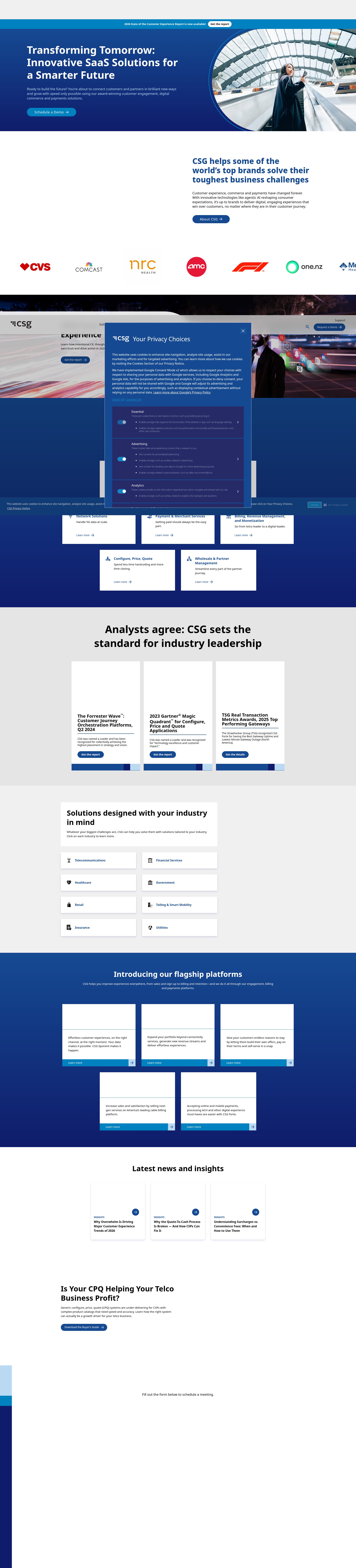 Screenshot of csgi.com