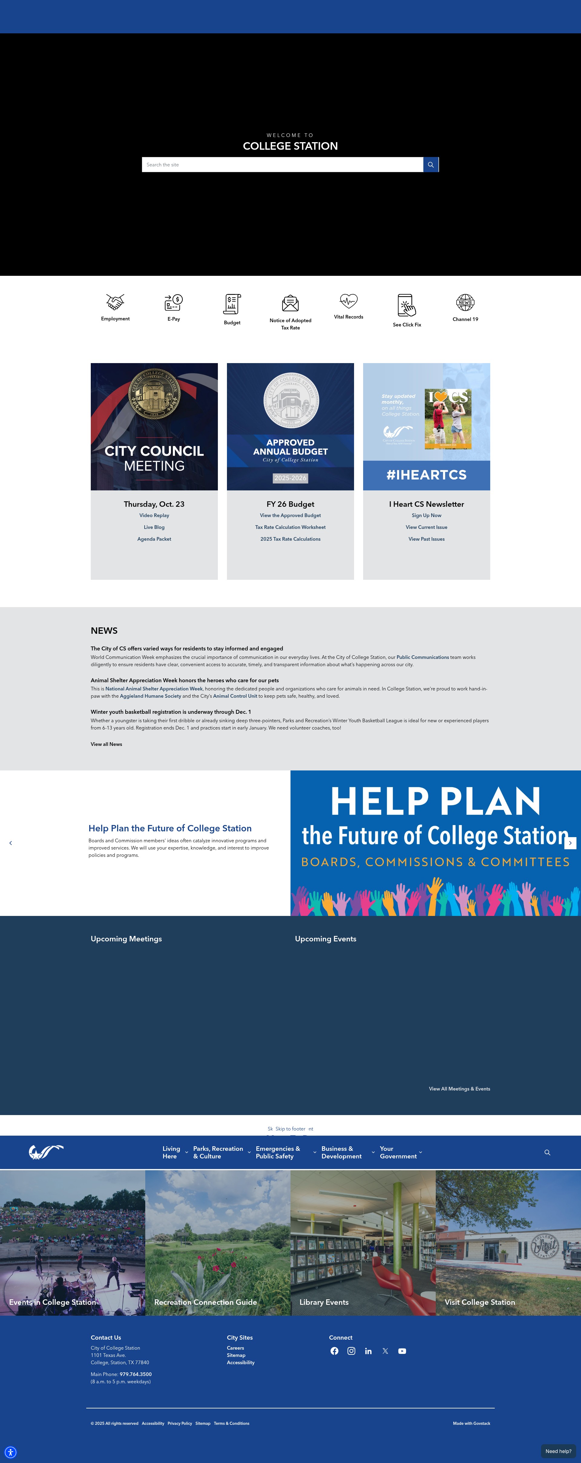 Screenshot of cstx.gov