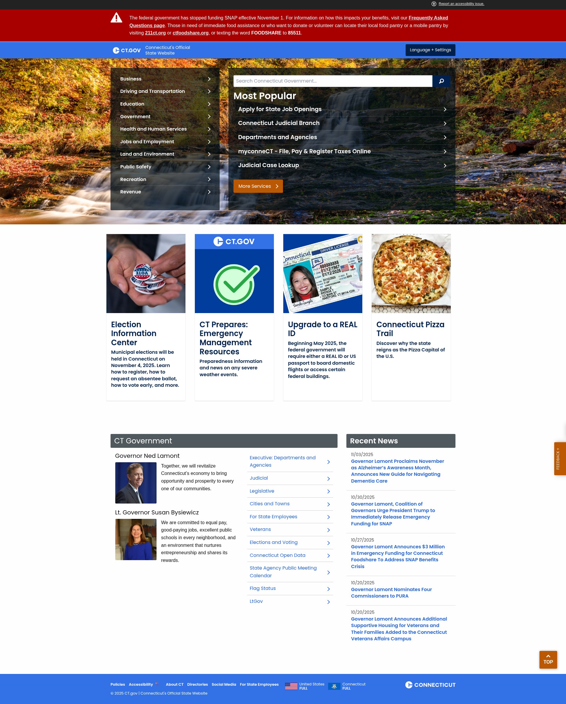 Screenshot of ct.gov
