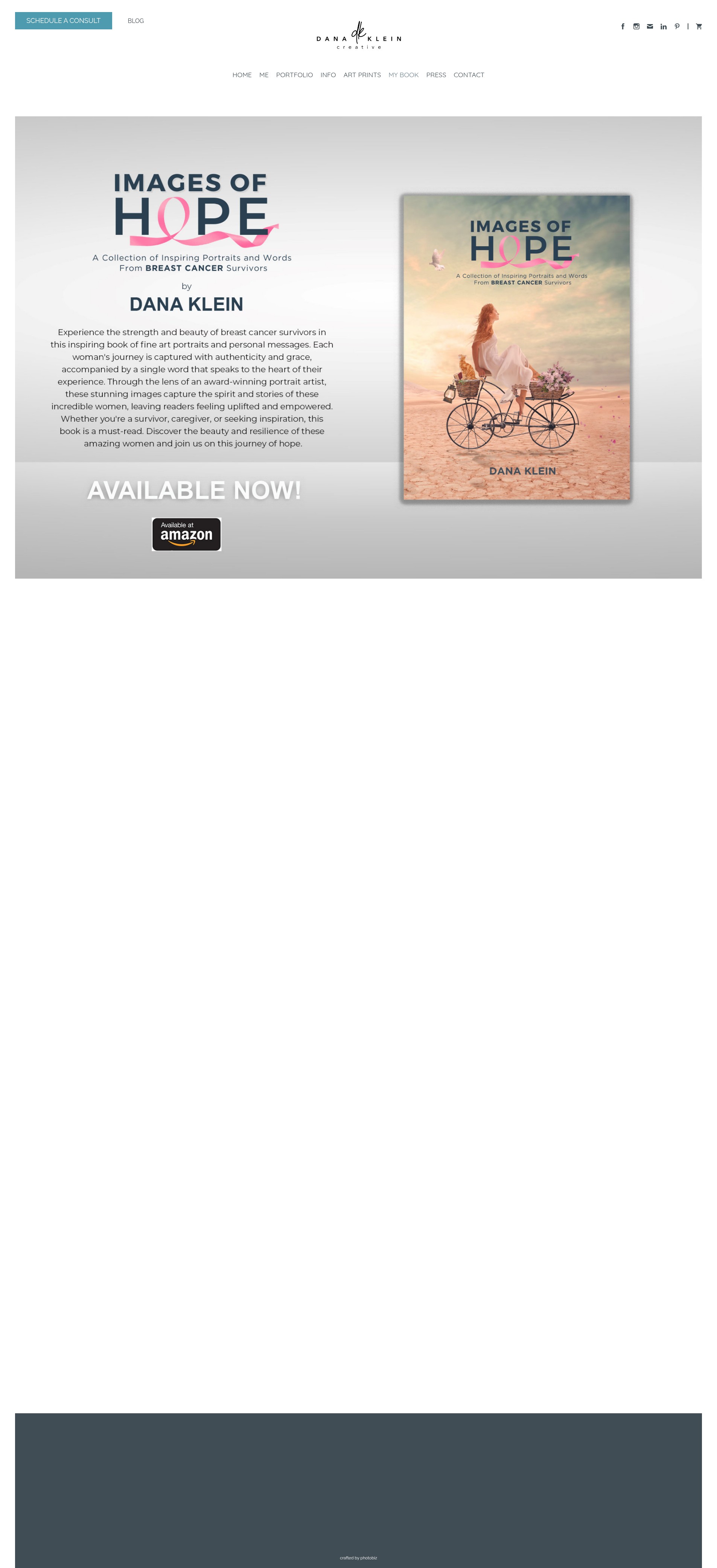 Screenshot of danakleincreative.com