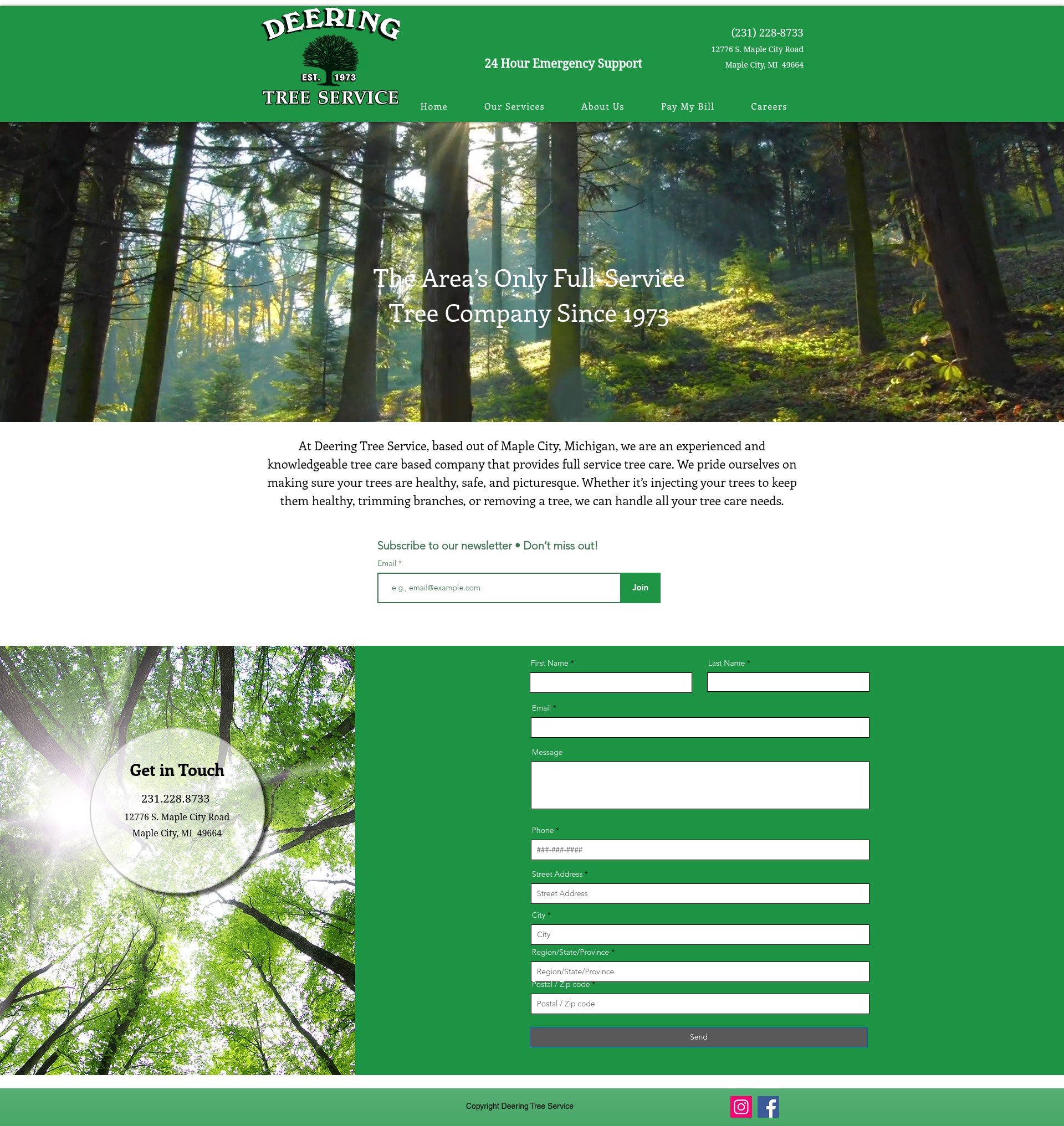 Screenshot of deeringtreeservice.com