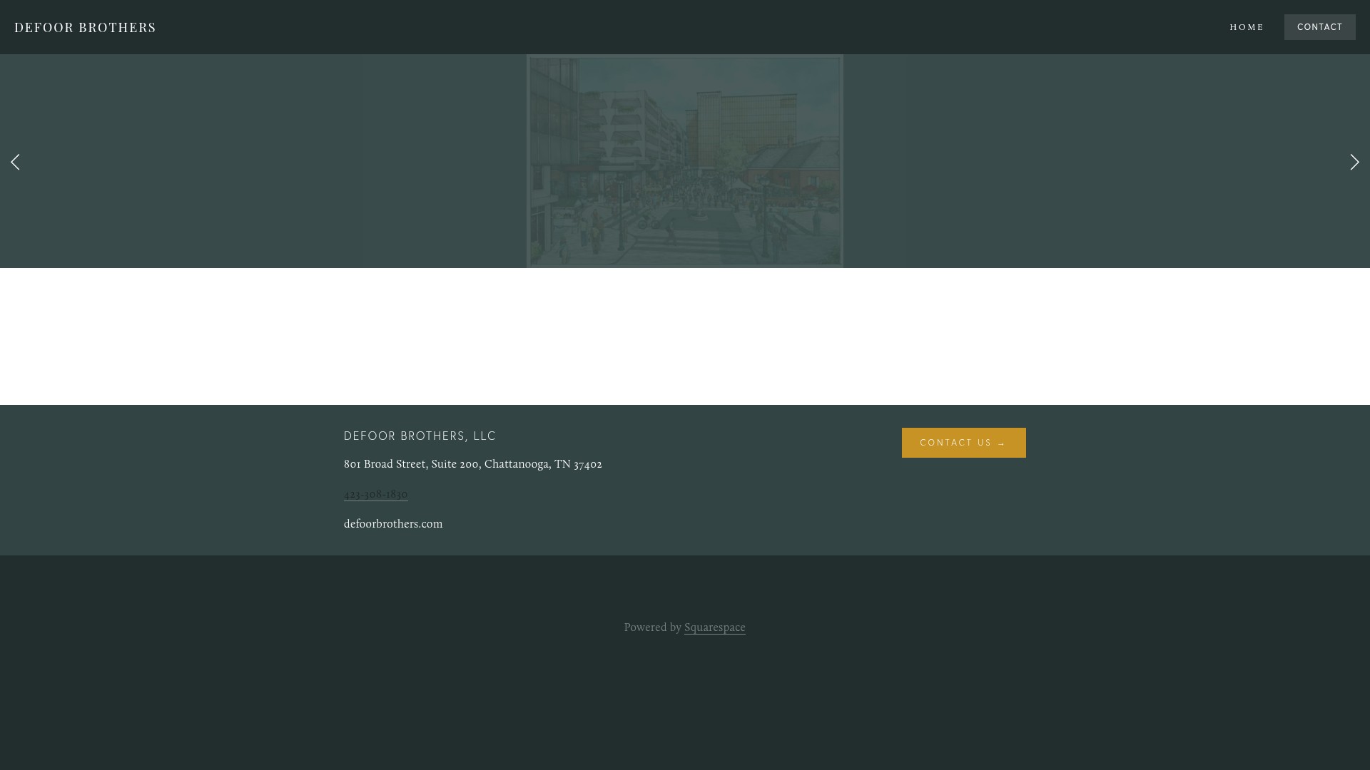 Screenshot of defoorbrothers.com