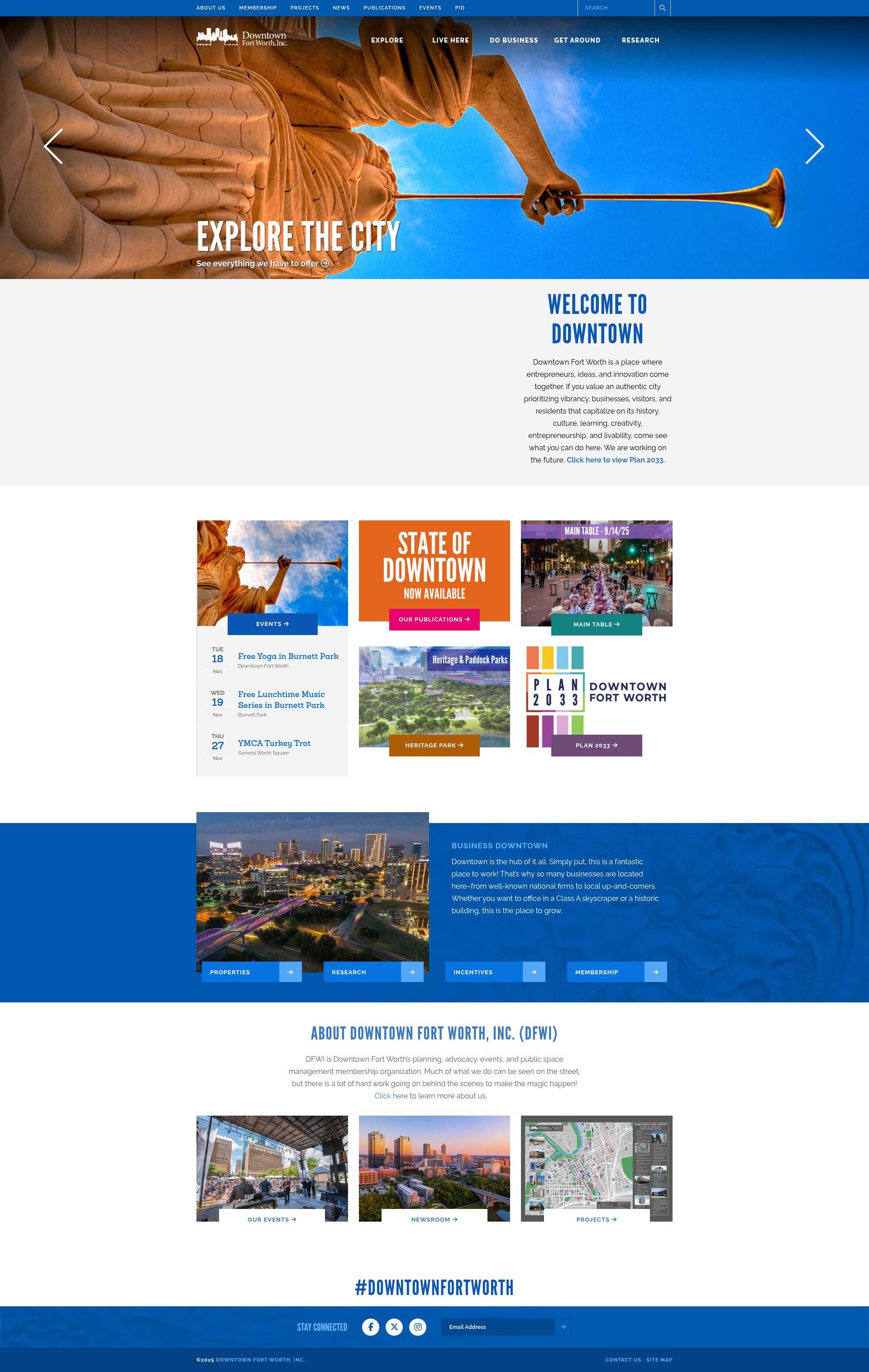 Screenshot of dfwi.org