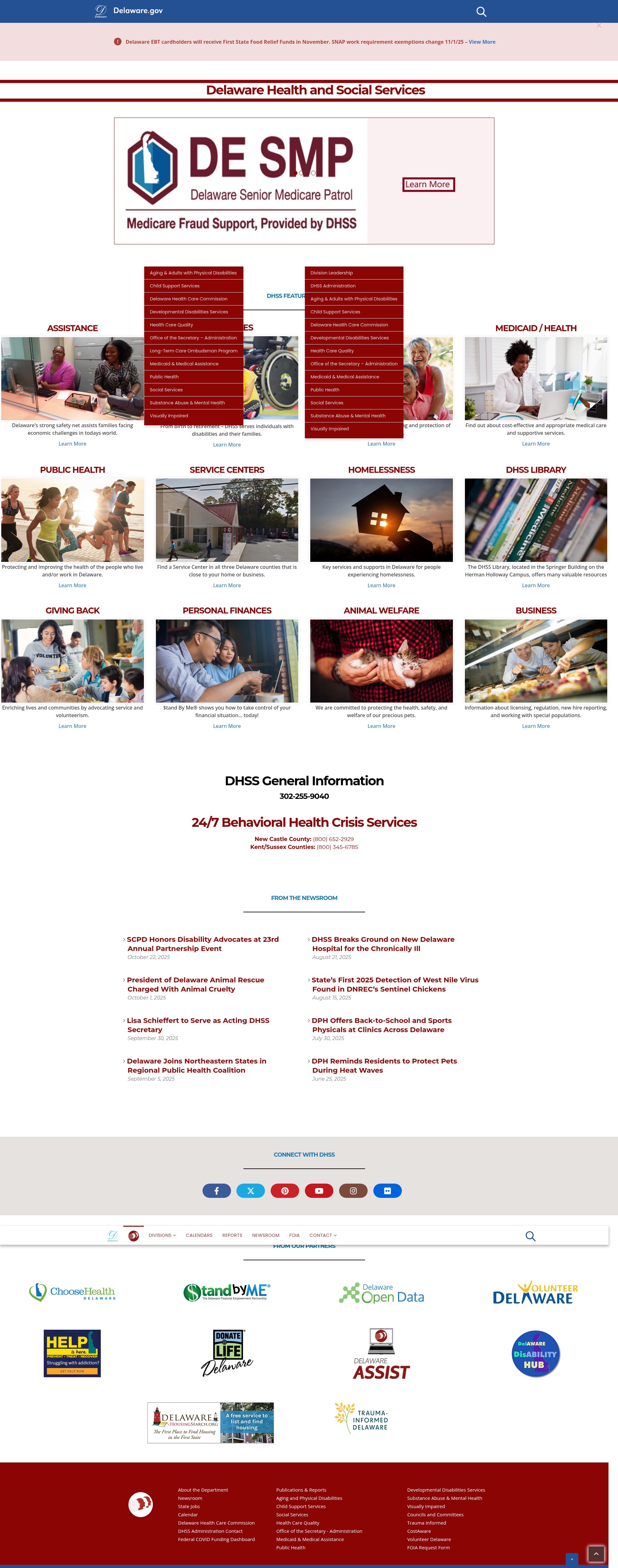 Screenshot of dhss.delaware.gov