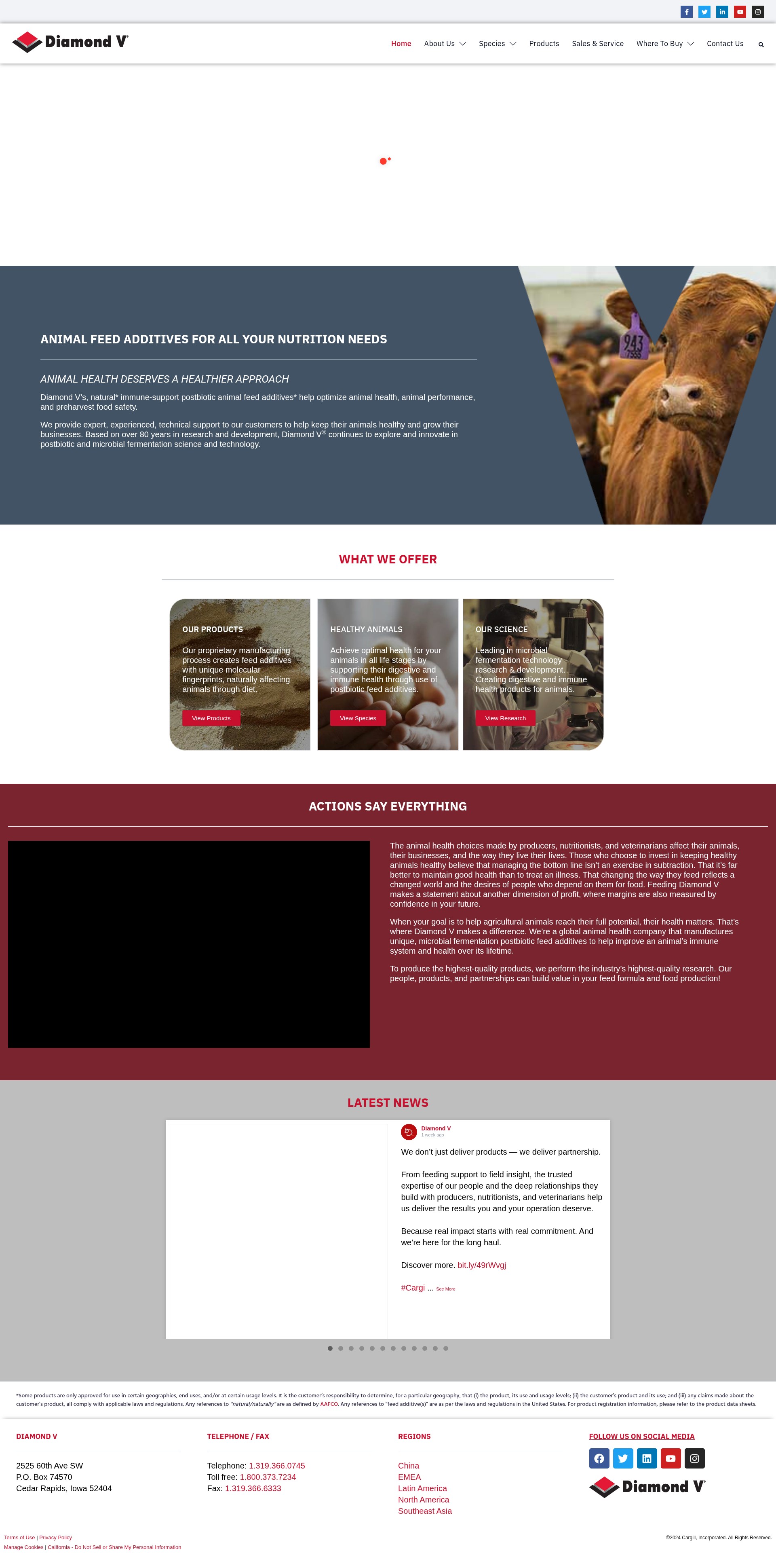Screenshot of diamondv.com