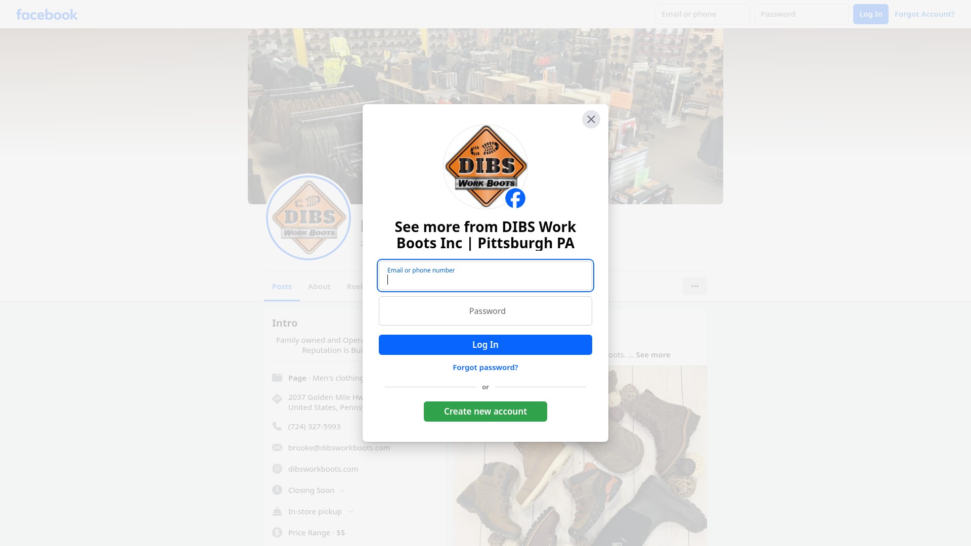 Screenshot of dibsworkboots.com