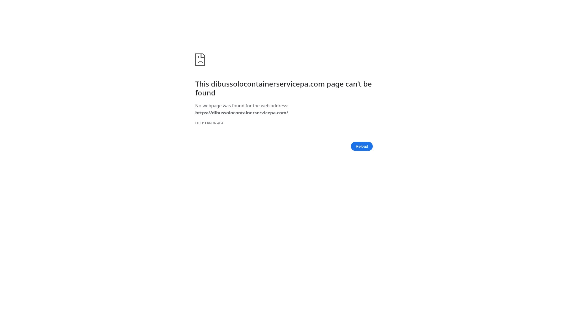 Screenshot of dibussolocontainerservicepa.com
