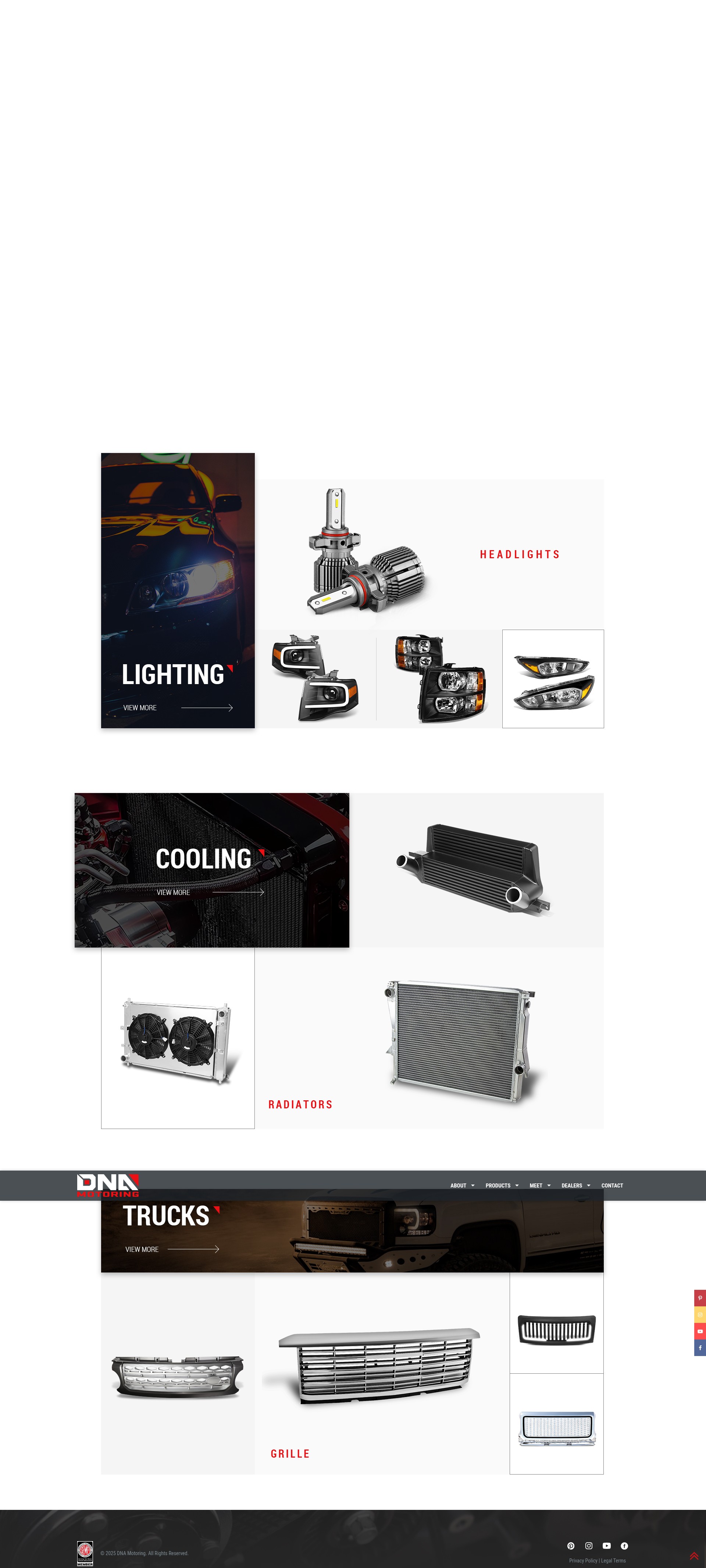Screenshot of dnamotoring.com