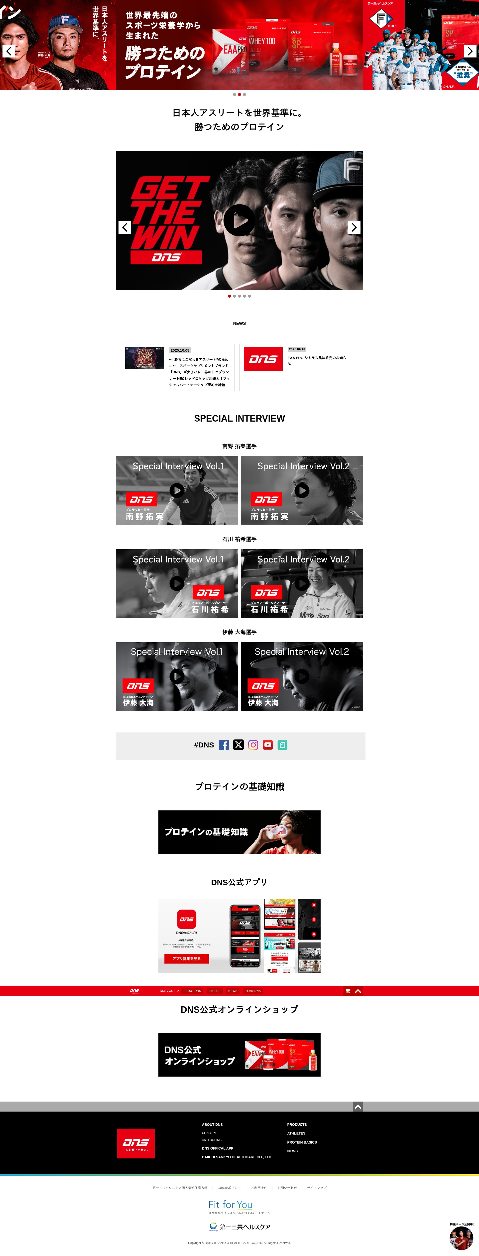 Screenshot of dnszone.jp