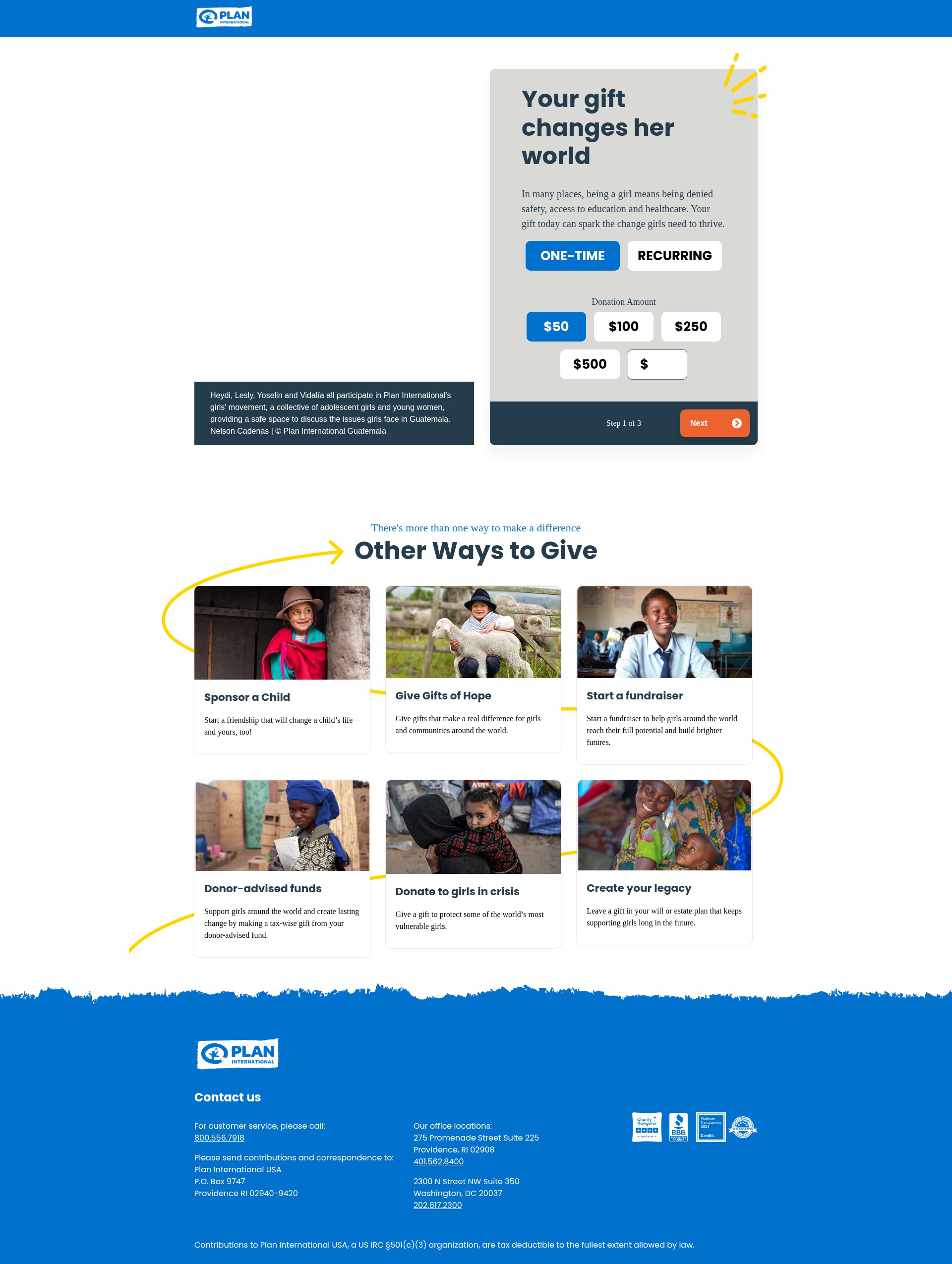Screenshot of donate.planusa.org