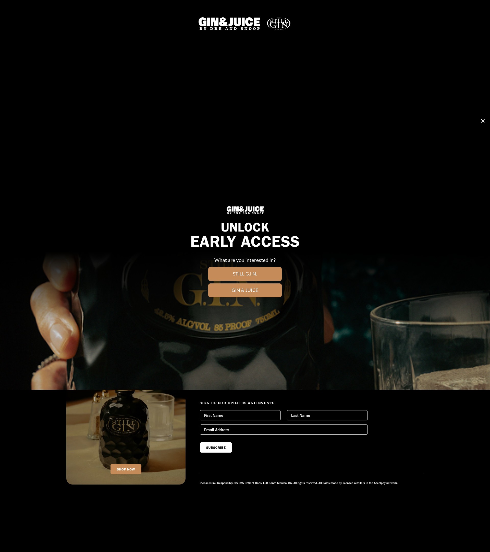 Screenshot of dreandsnoop.com