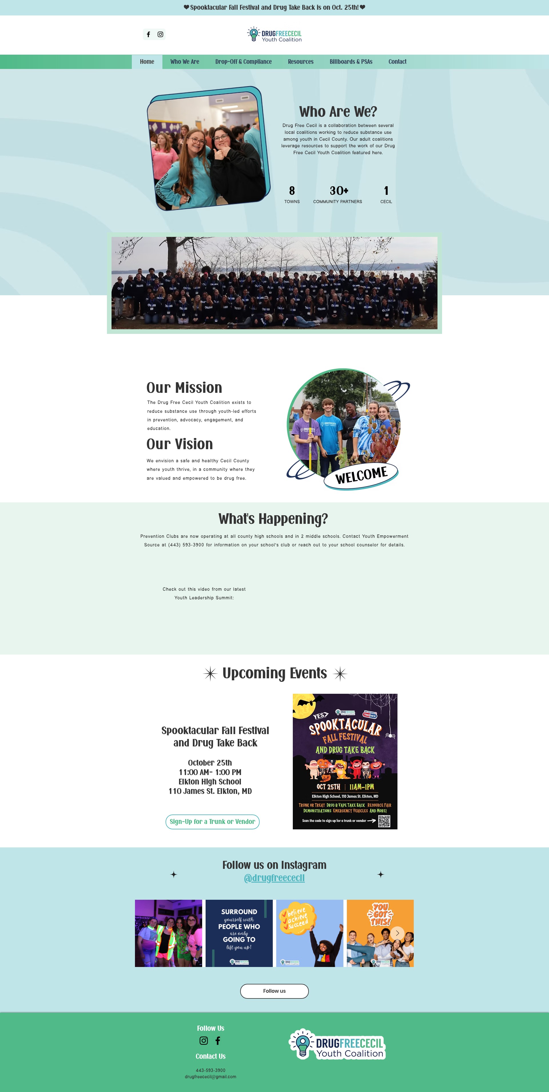 Screenshot of drugfreececil.org