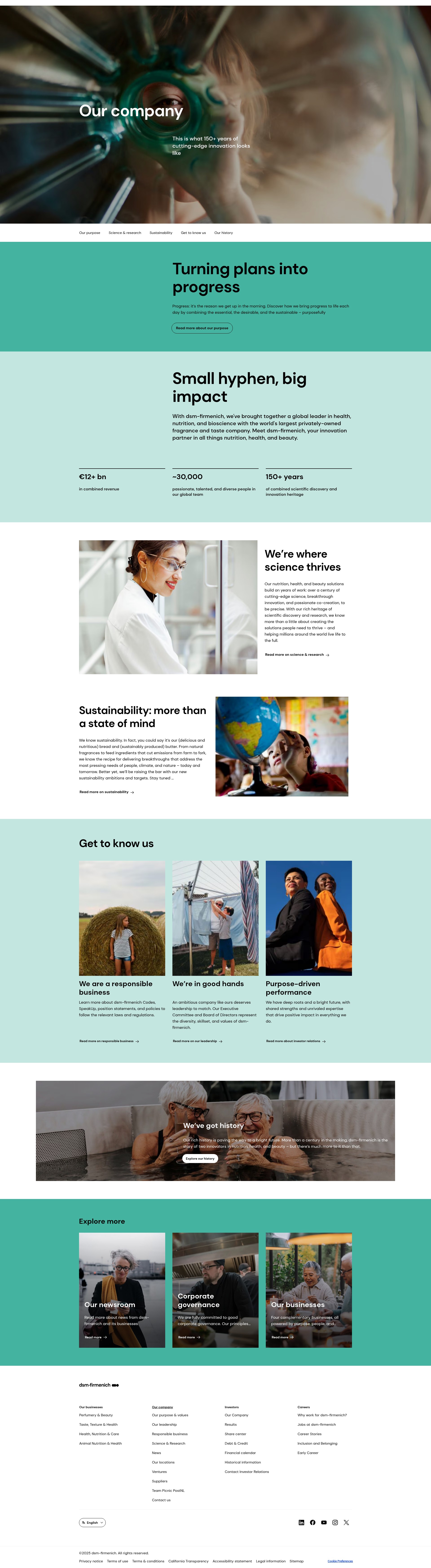 Screenshot of dsm.com