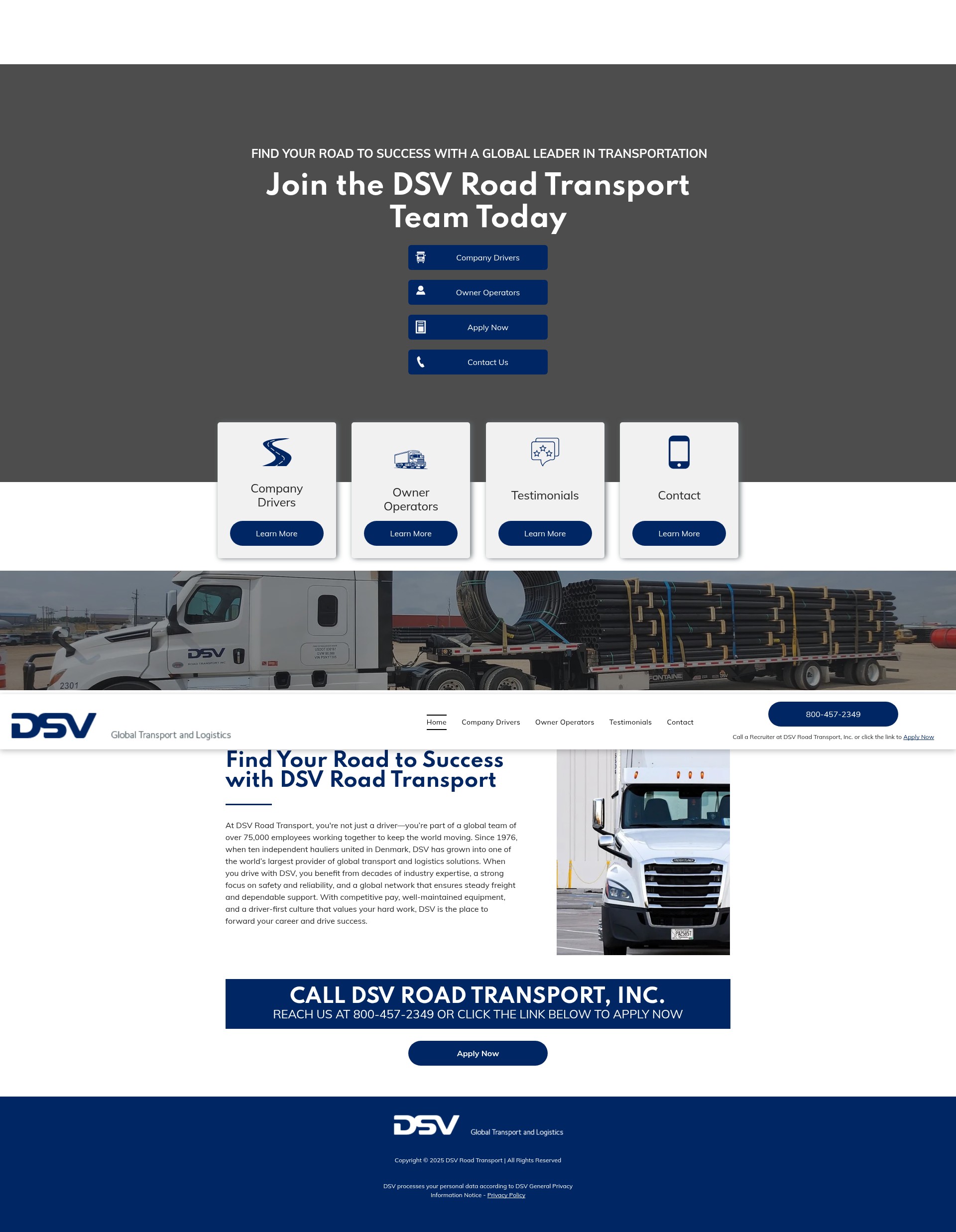 Screenshot of dsvishiring.com