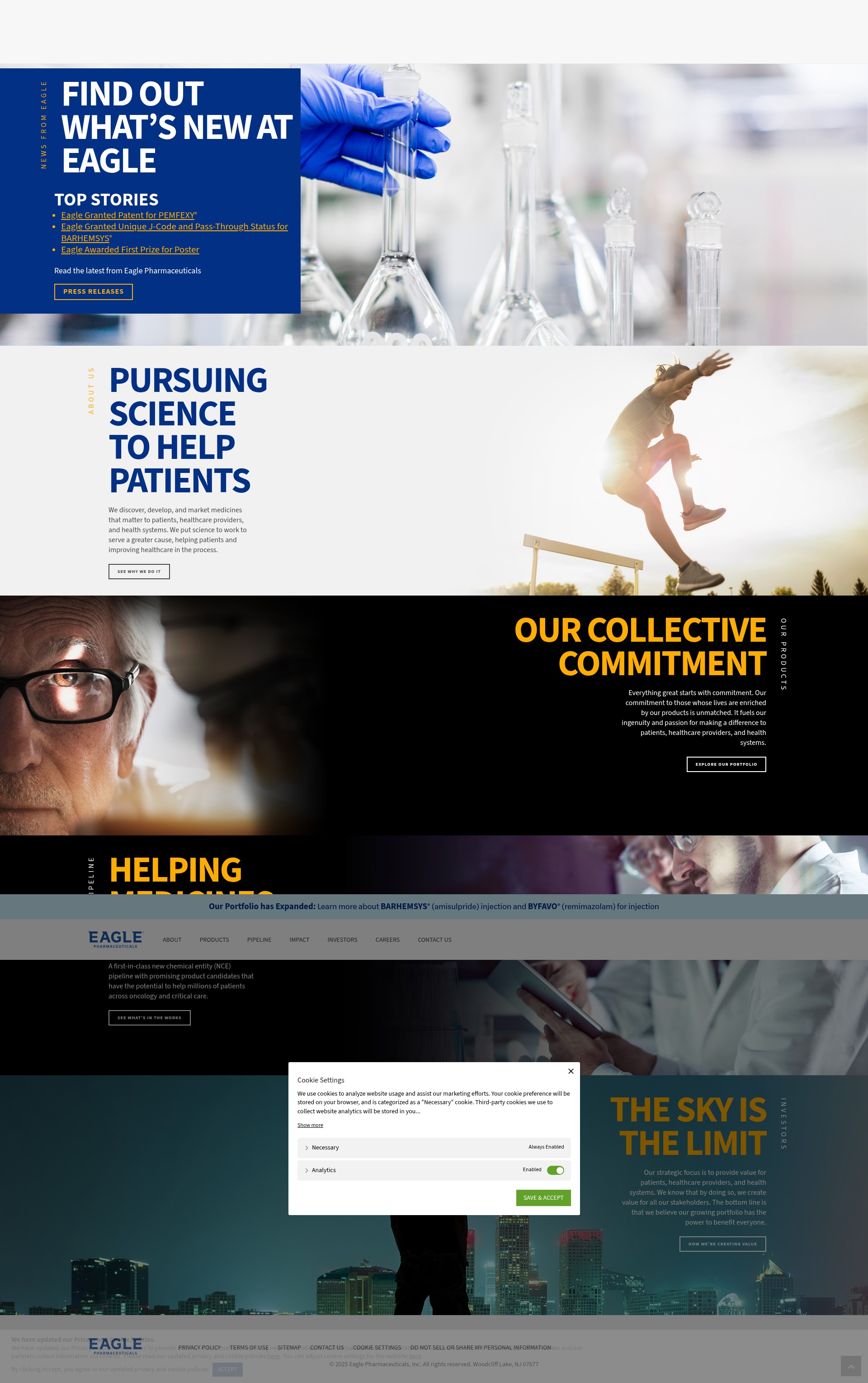 Screenshot of eagleus.com