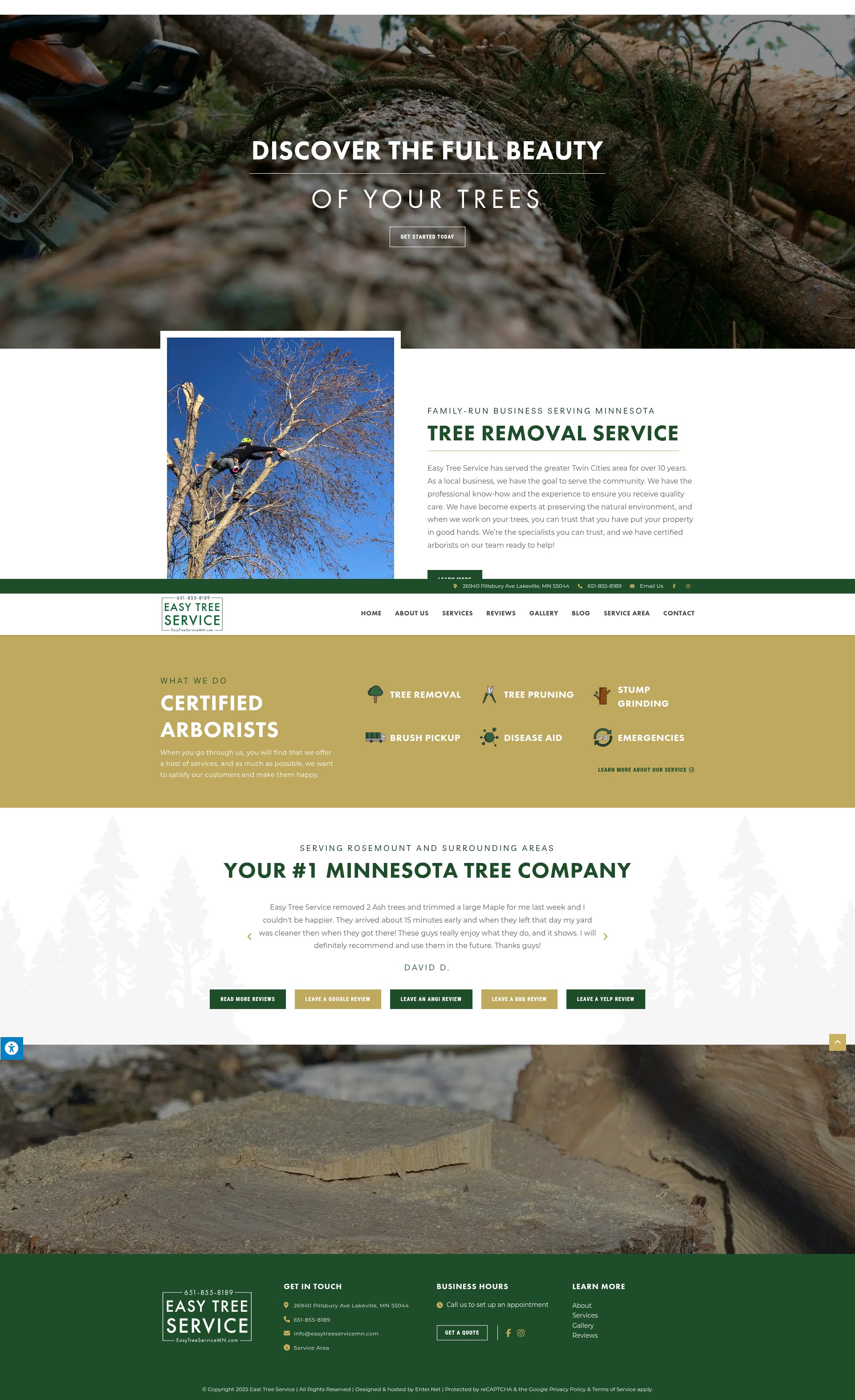 Screenshot of easytreeservicemn.com