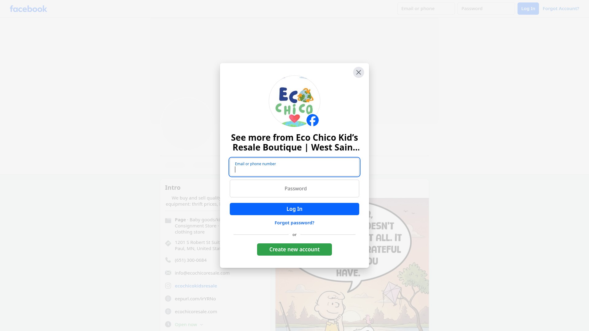 Screenshot of ecochicoresale.com