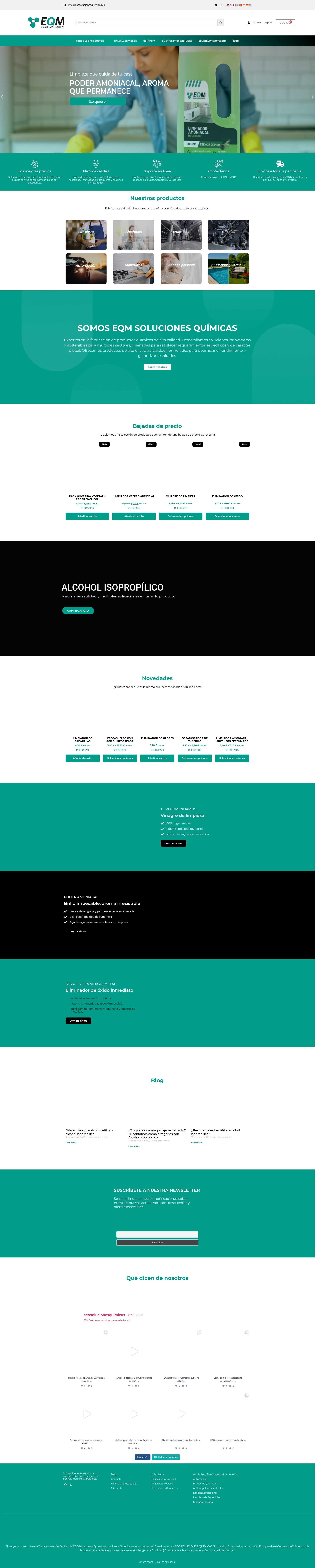 Screenshot of ecosolucionesquimicas.es
