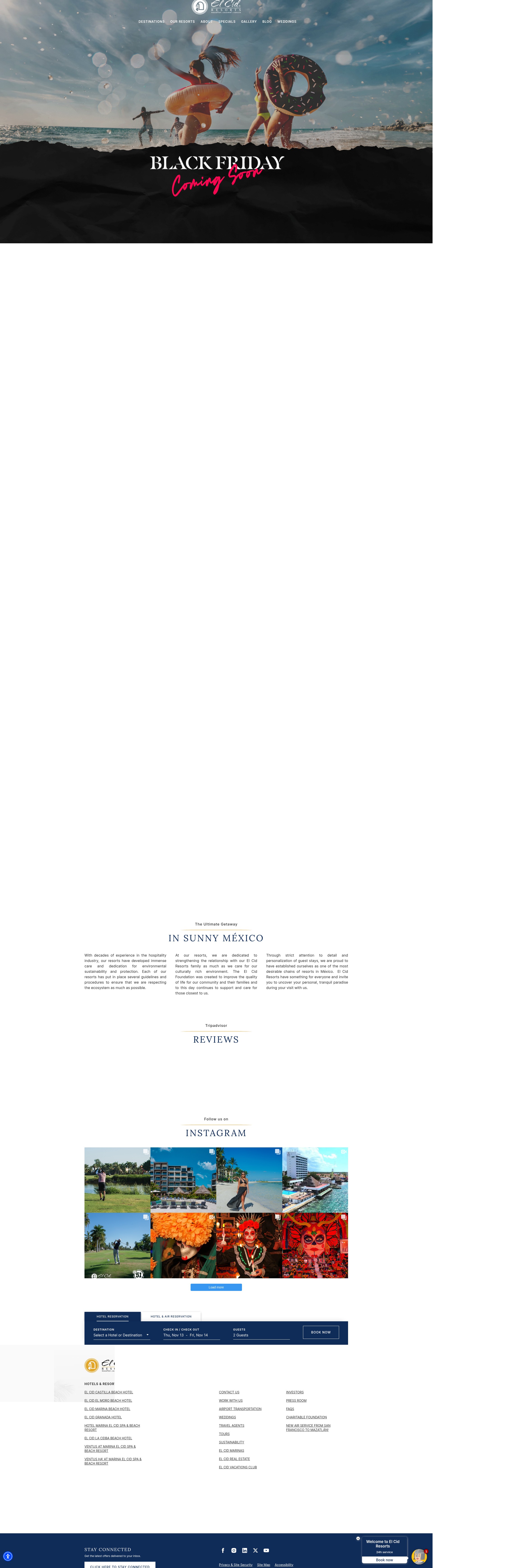 Screenshot of elcid.com