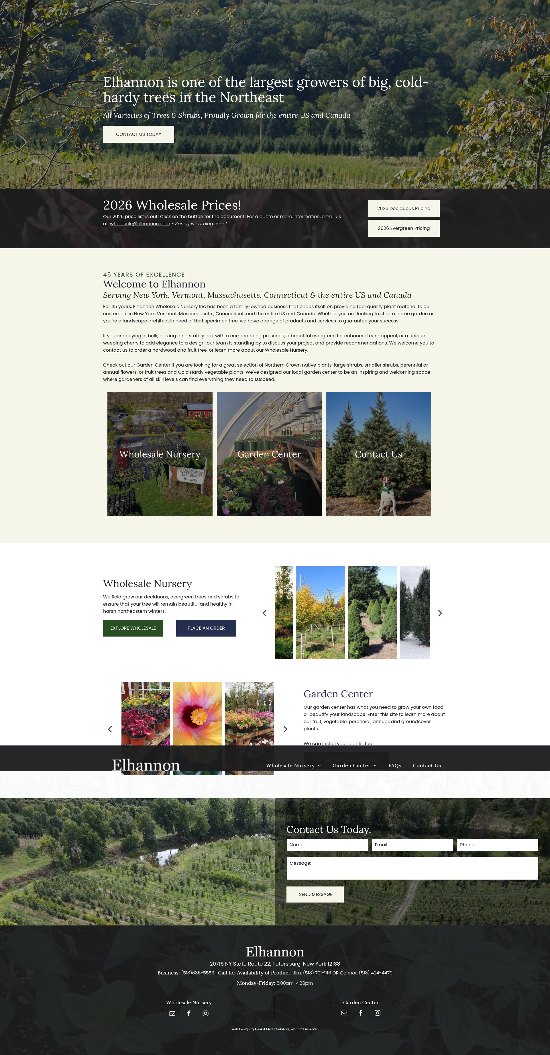 Screenshot of elhannon.com