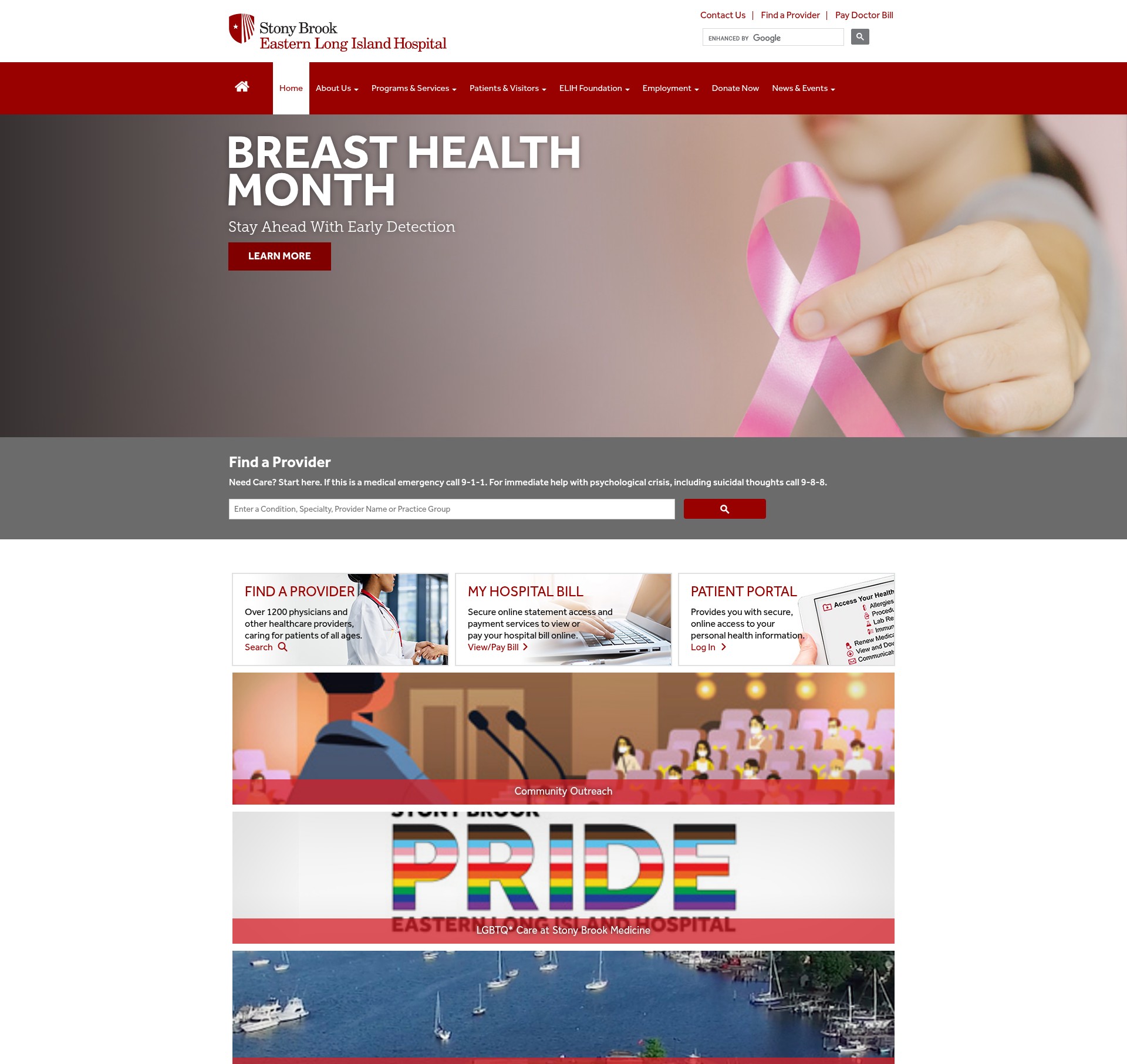 Screenshot of elih.stonybrookmedicine.edu