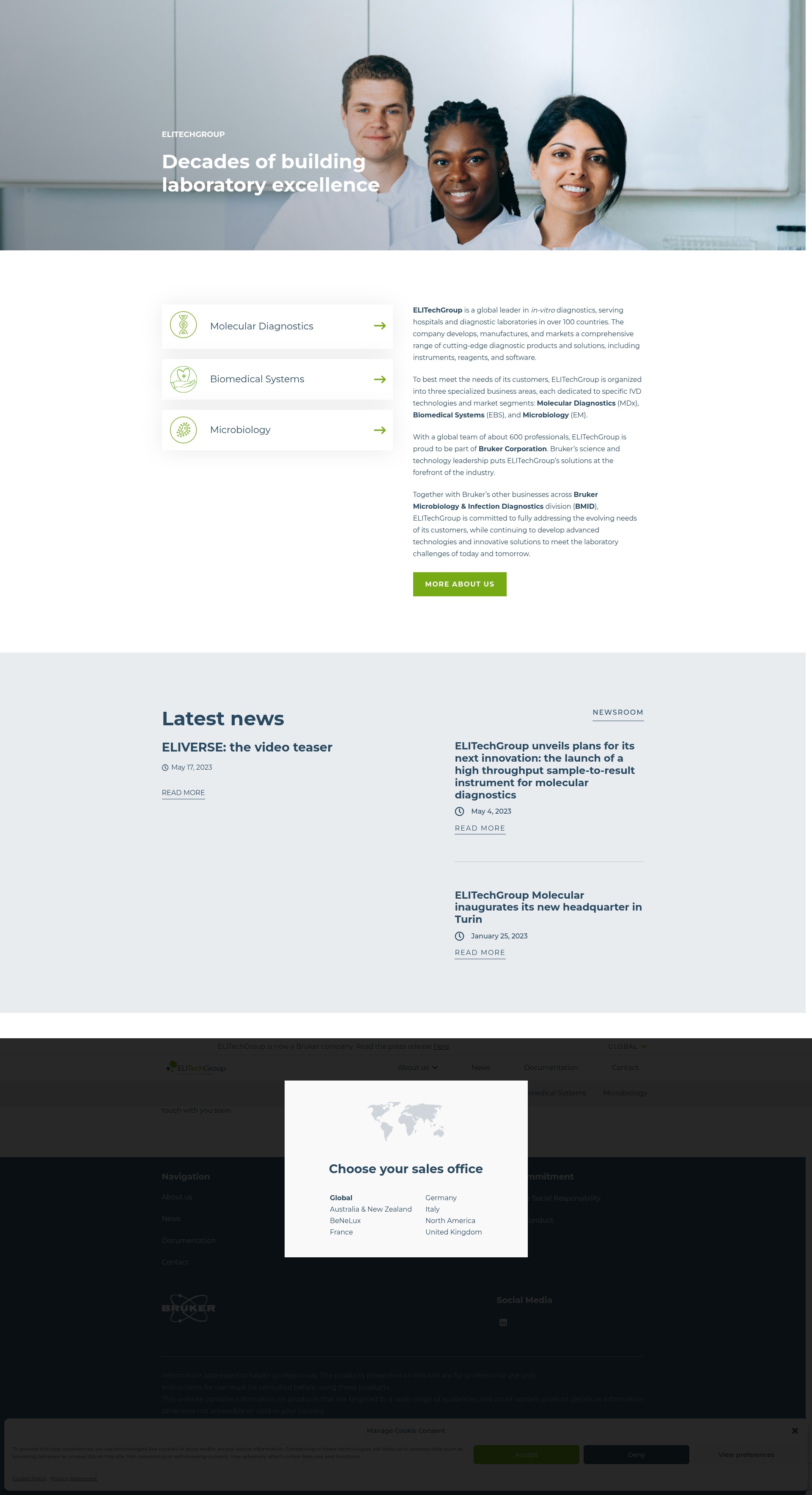 Screenshot of elitechgroup.com