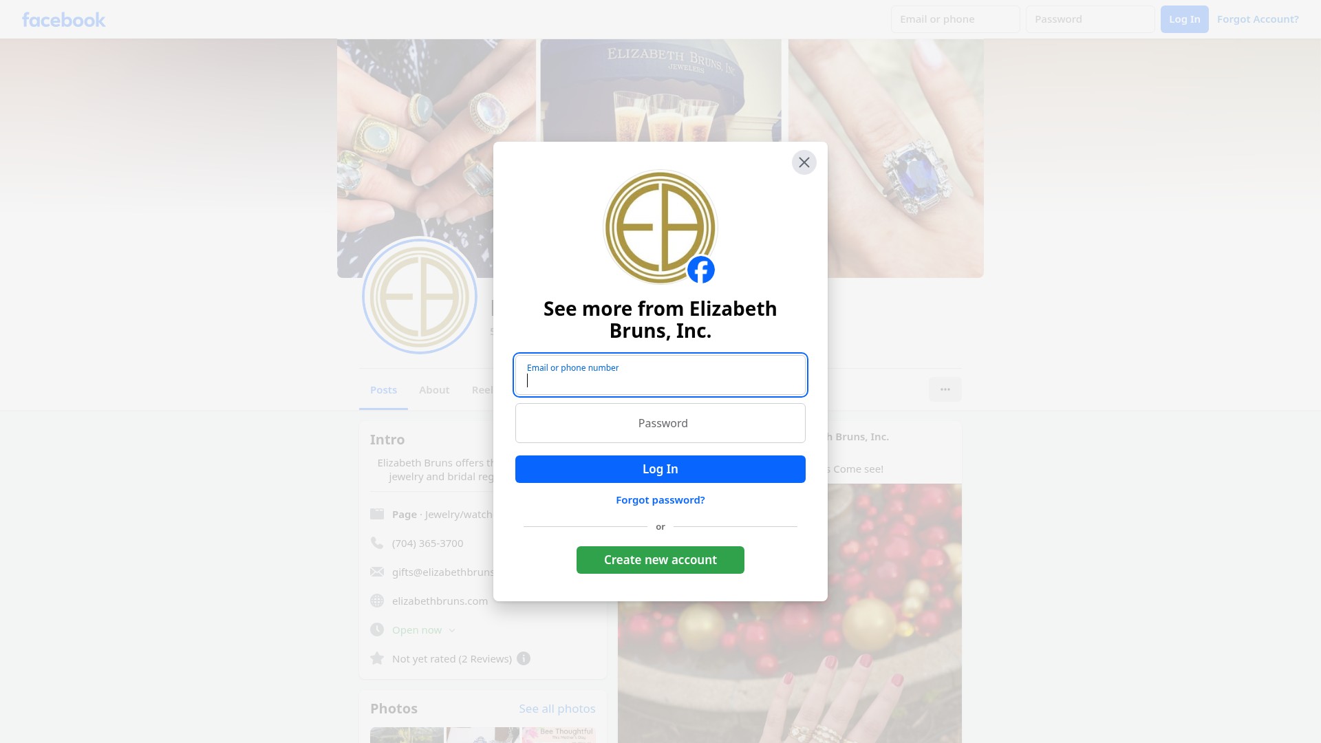 Screenshot of elizabethbruns.com